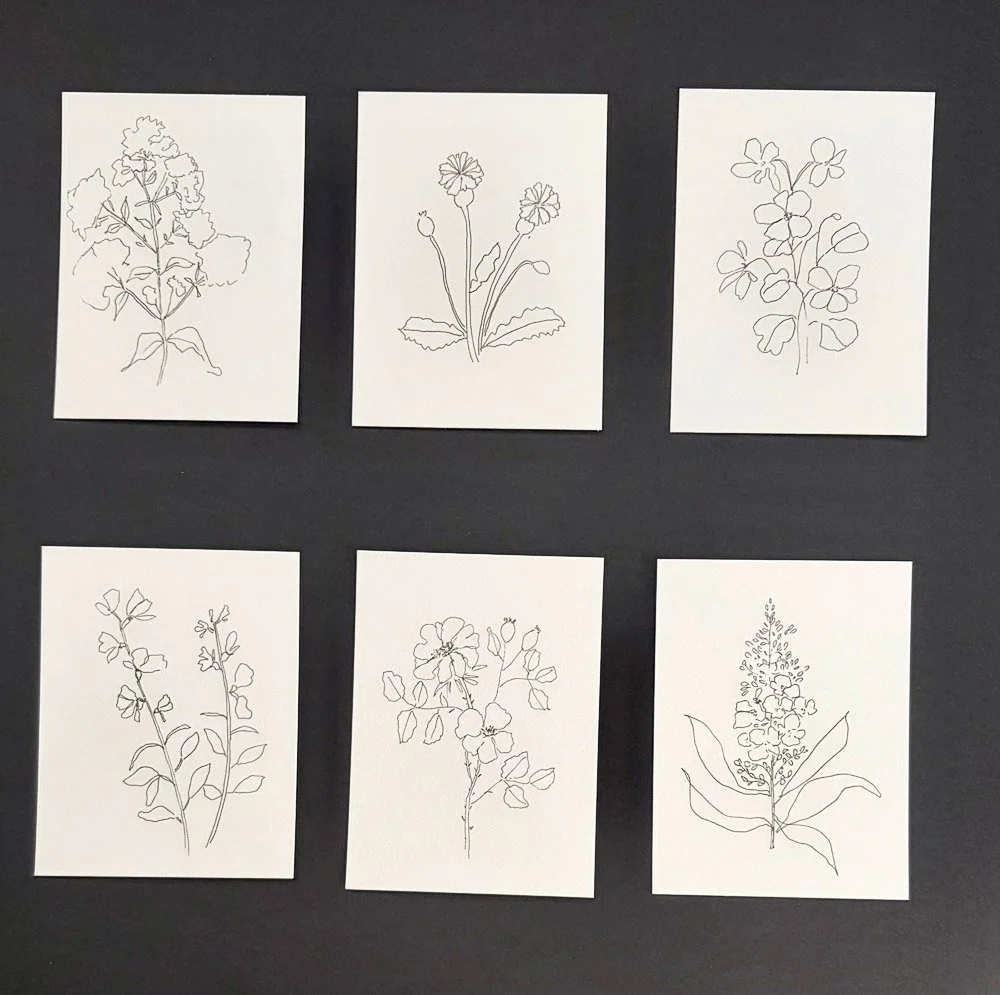 Six sketches of different flowers on white paper arranged on a black background, three on top and three on bottom.