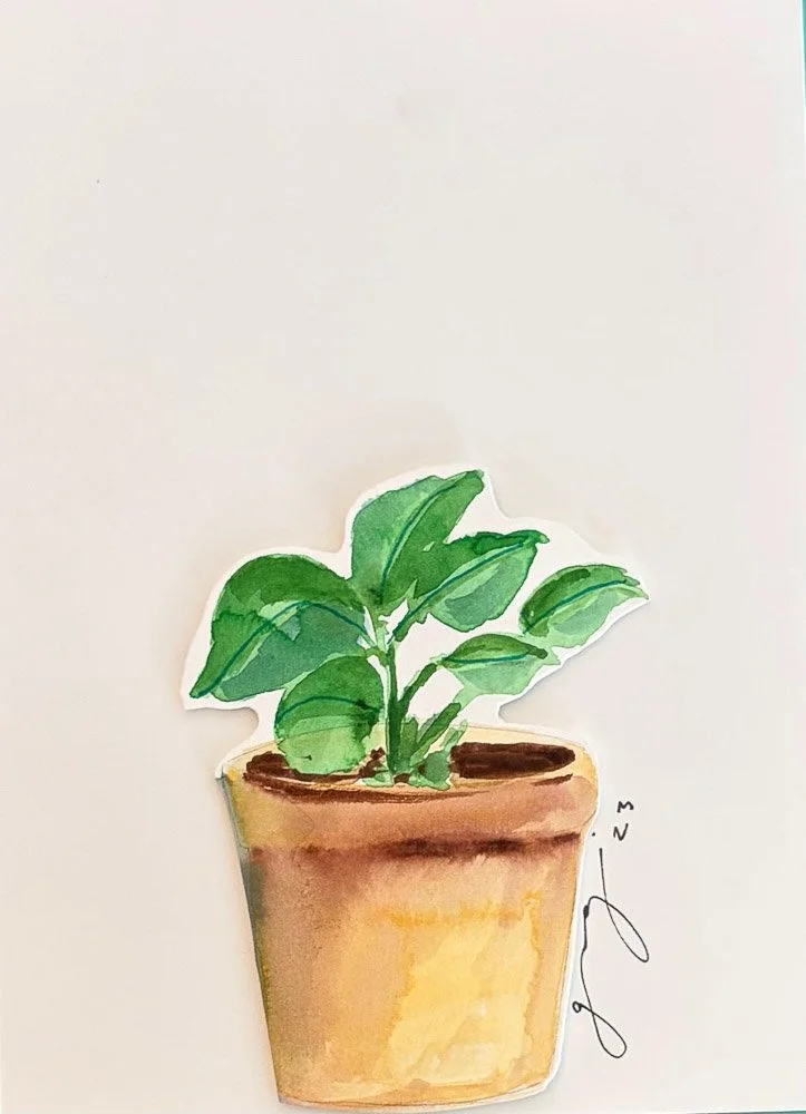 Watercolor drawing of a potted green leafy plant in a terracotta pot, signed by the artist.