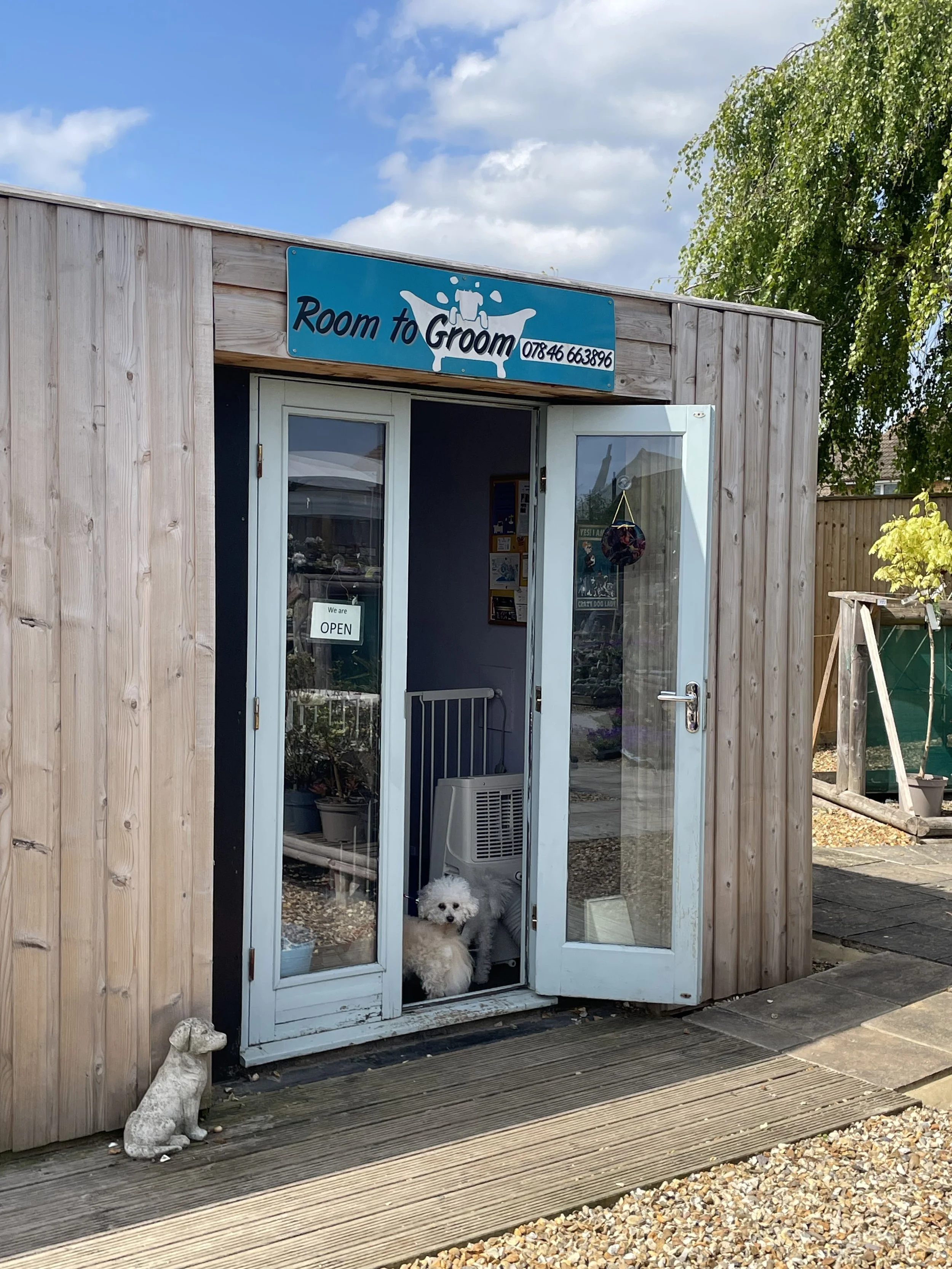 A small white dog sitting inside a pet grooming shop called "Room to Groom." The shop has wooden walls and a glass door with an