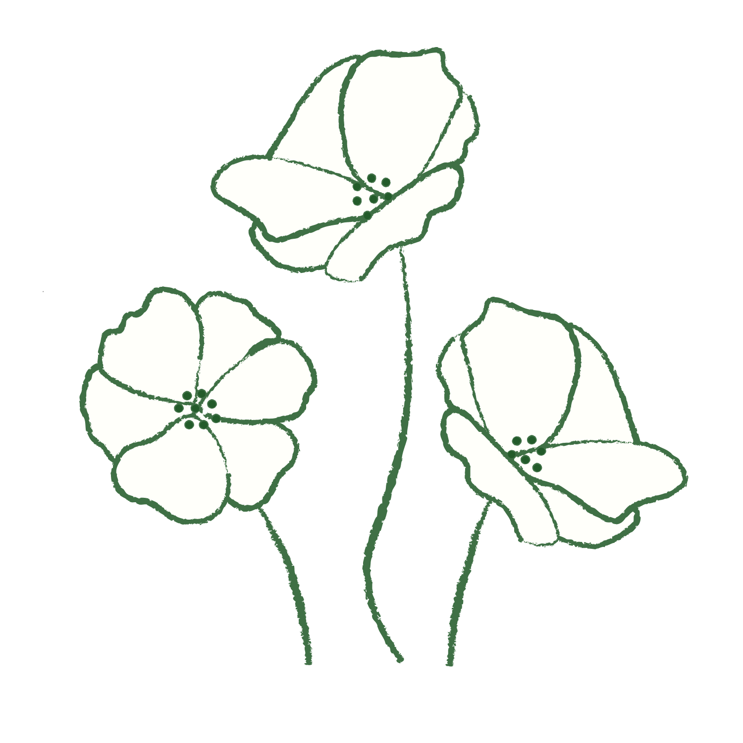 Outline drawing of three poppies with stems and leaves in dark green