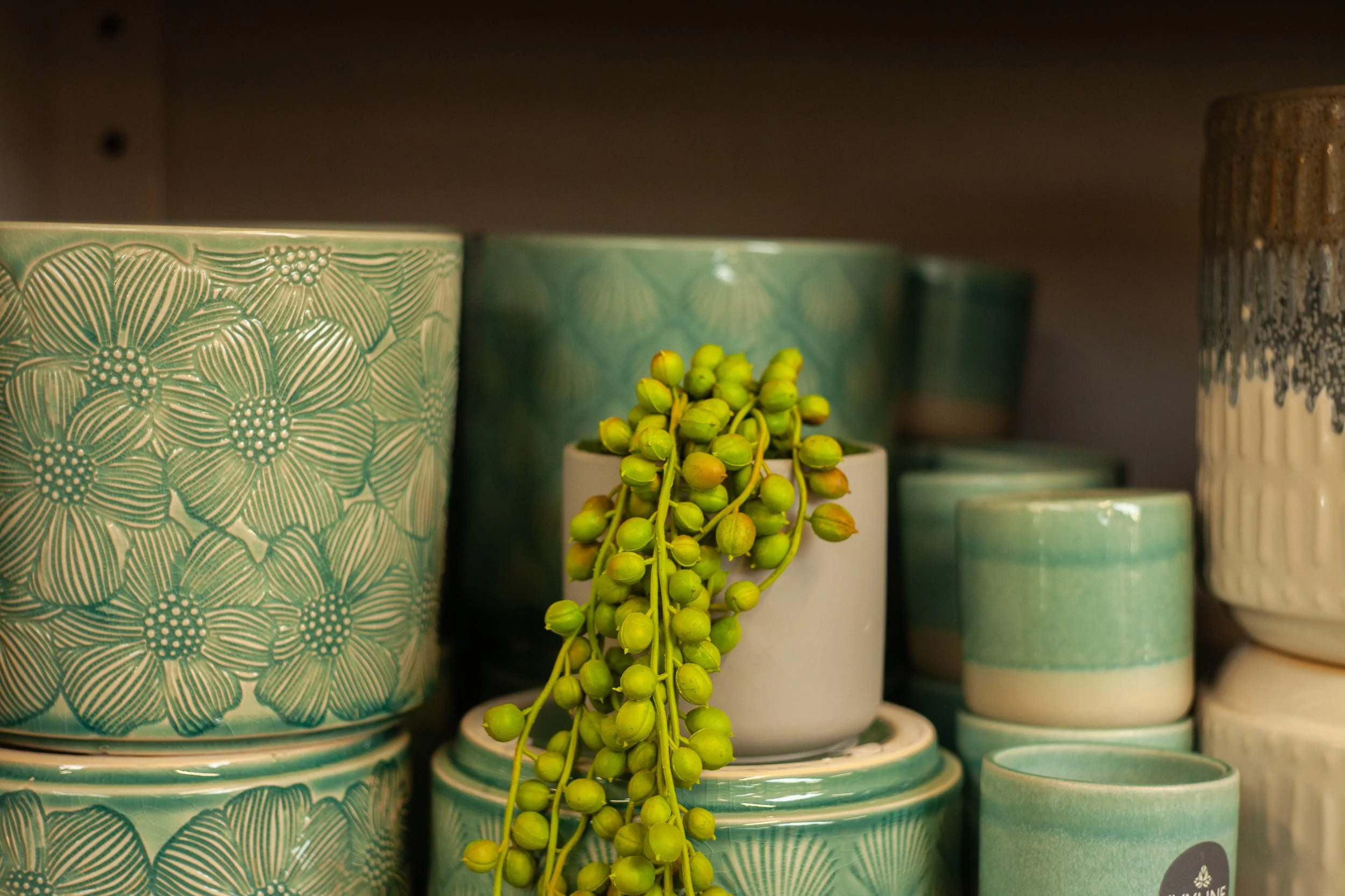 A collection of teal ceramic cups with floral patterns and a small white pot holding a succulent plant with green, round leaves, placed on a shelf.