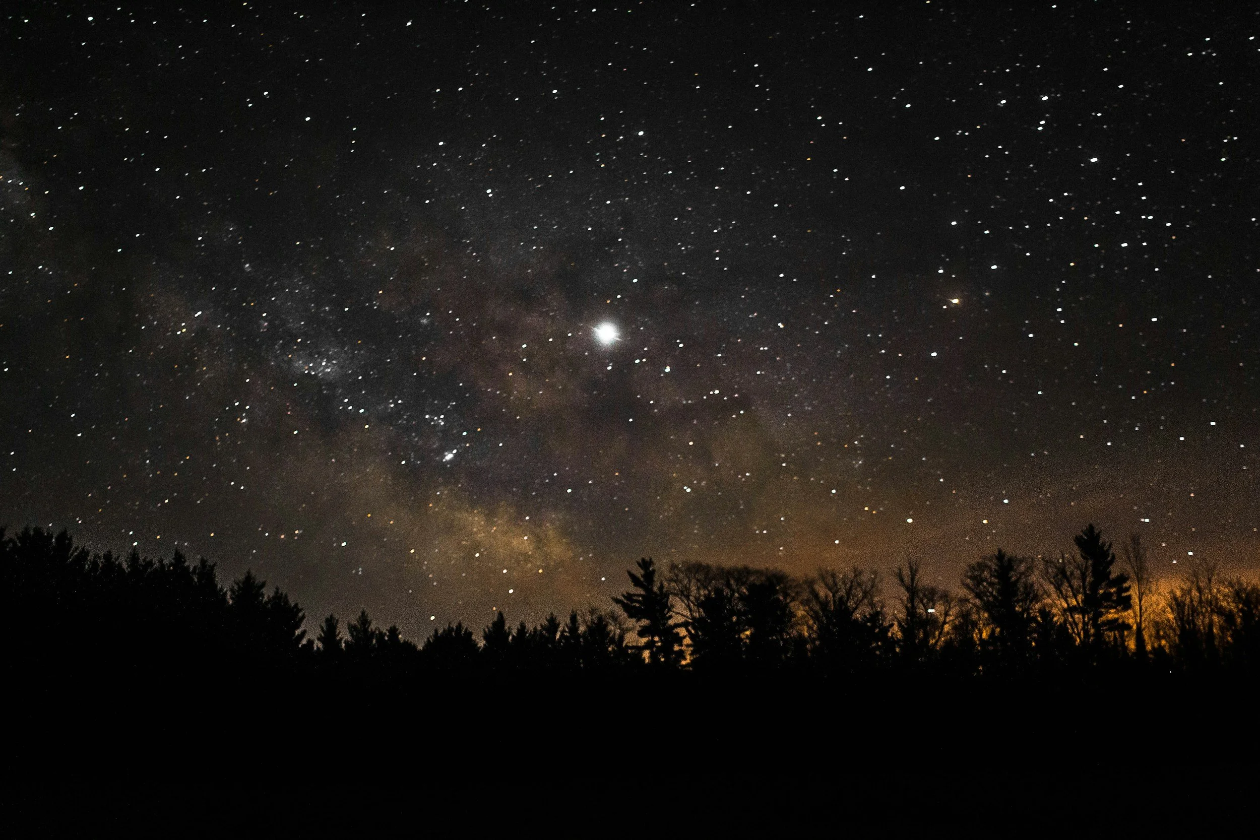 Night sky filled with numerous stars above a silhouetted tree line.