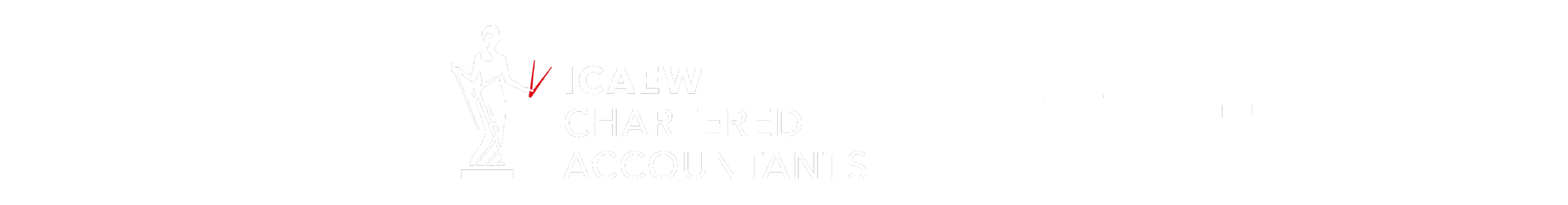Logos of various companies including Riot, ICAEW Chartered Accountants, Xero, Gold Partner, and Certified B Corporation