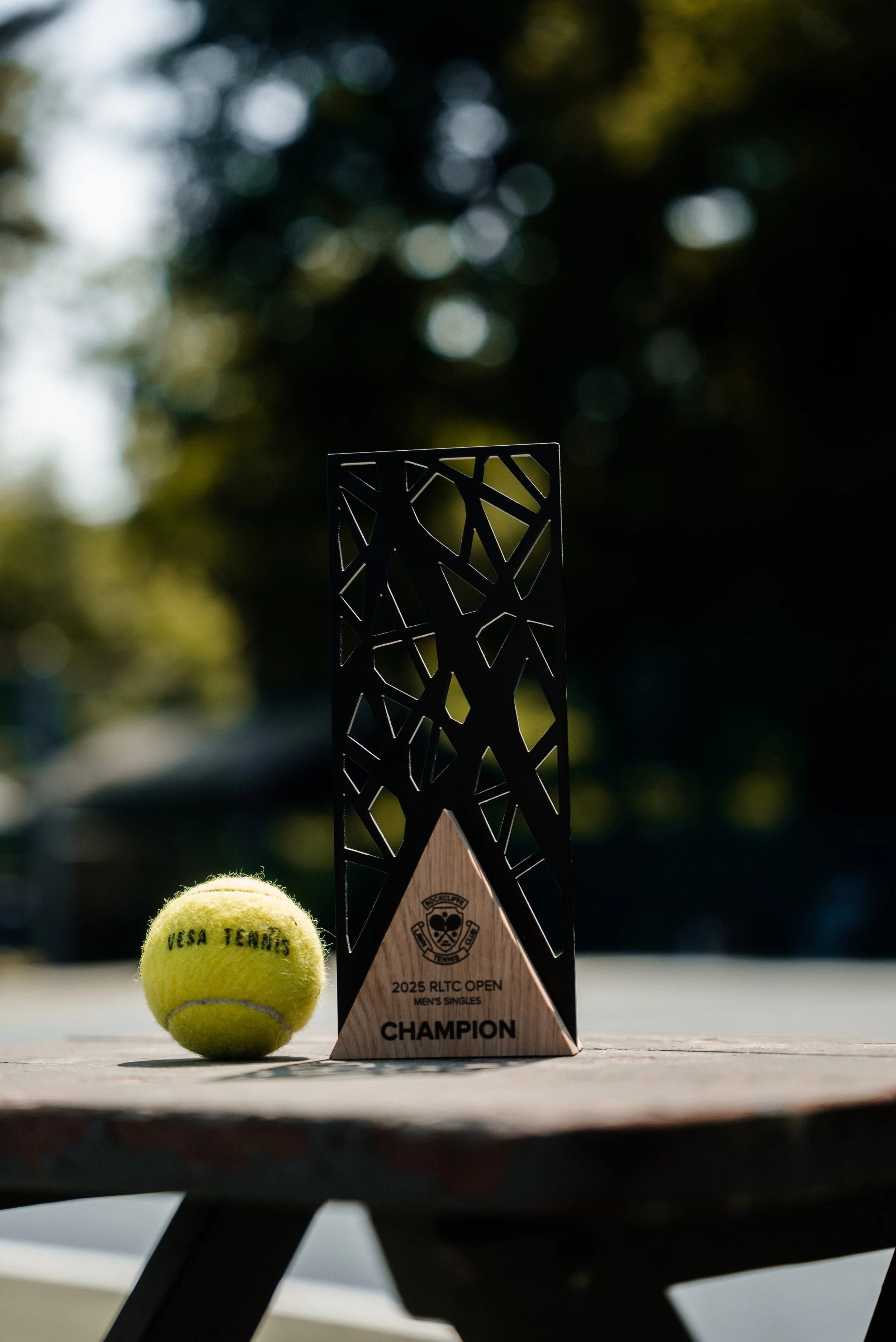 VESA Tennis Balls (24 tins)