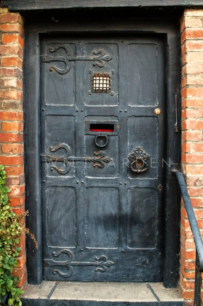 Old Door #1