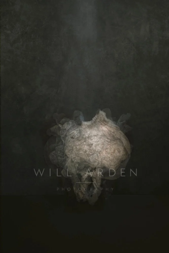 Relic. Conceptual Work