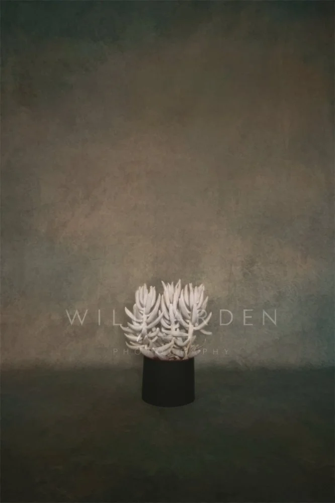 White Plant