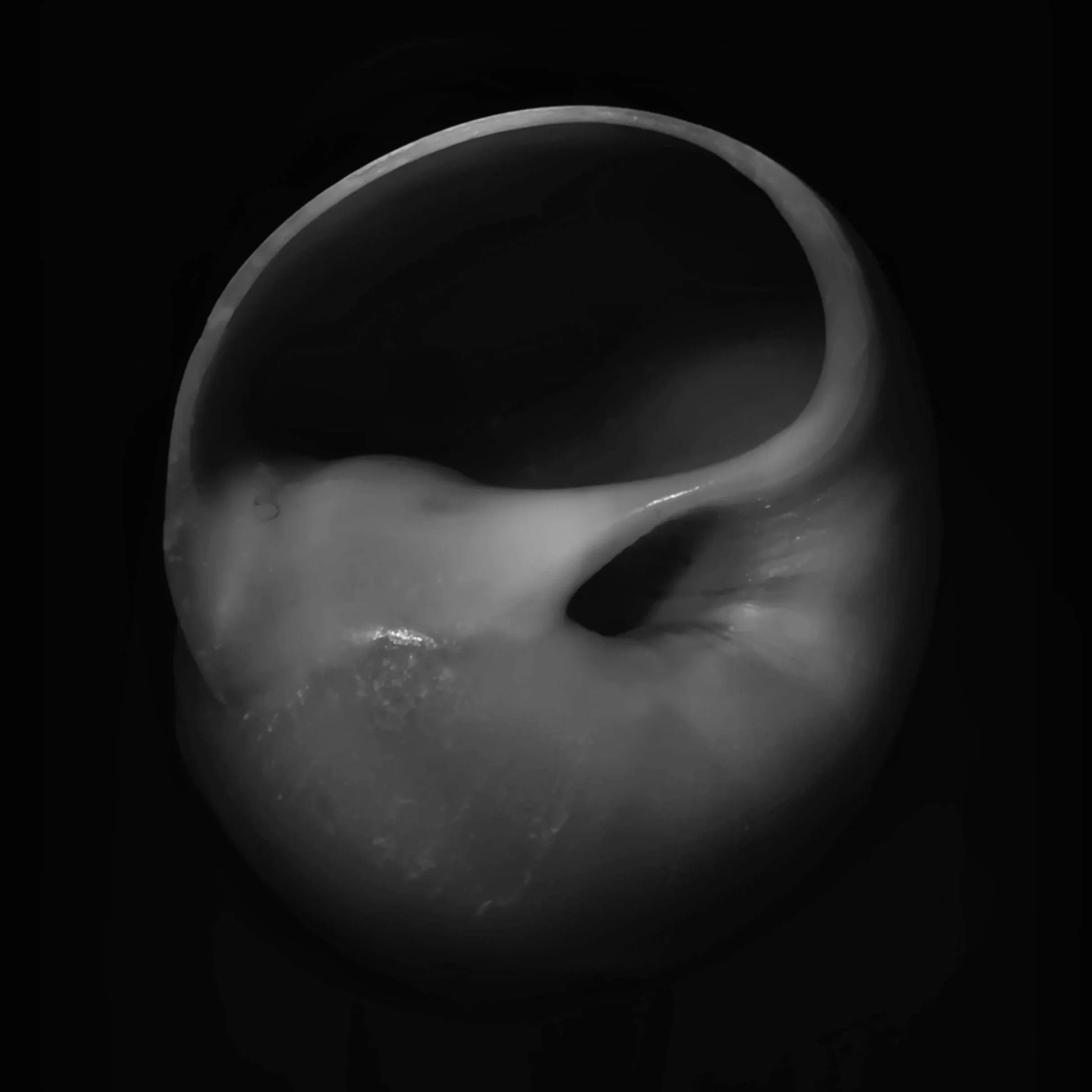 Close-up of a dark, curved object with a smooth, reflective surface, possibly a tube or pipe, with a light source creating highlights on its surface.