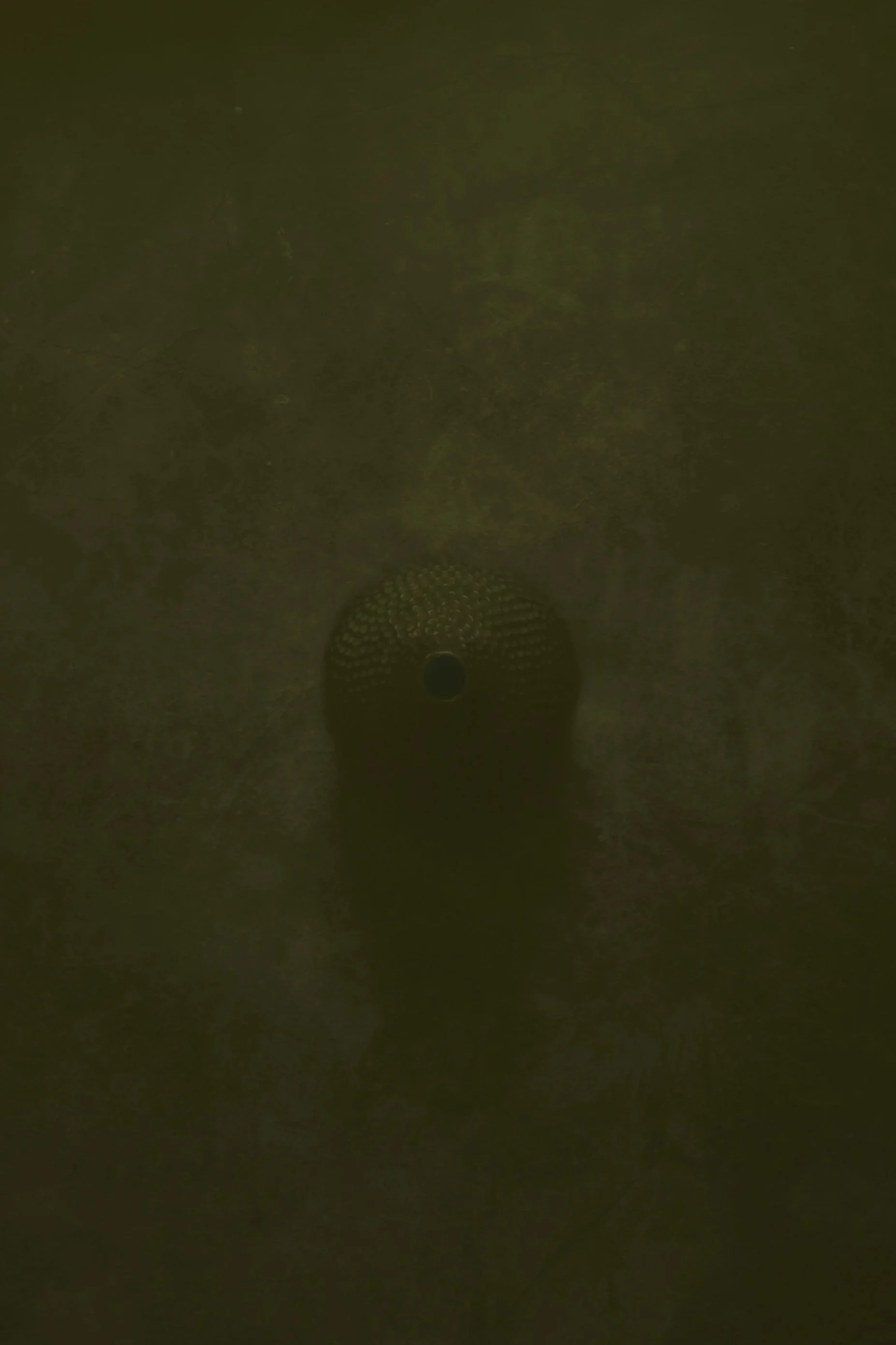 Dark, blurry image of a person's feet in patterned shoes standing on a greenish surface.