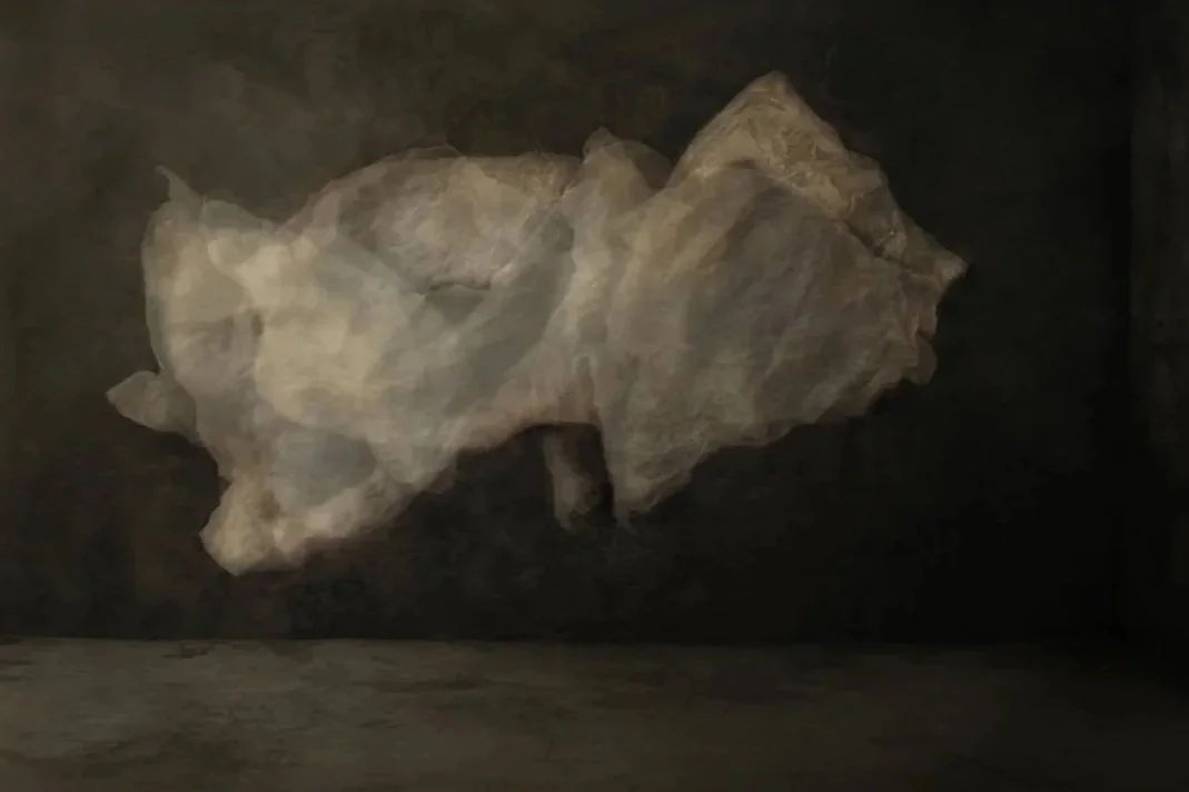 Large abstract light-colored stone or mineral formation in a dark room.