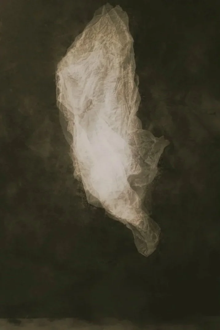 An ethereal, textured, crumpled, semi-transparent white paper sculpture resembling a draped fabric or ghostly figure, suspended against a dark background.