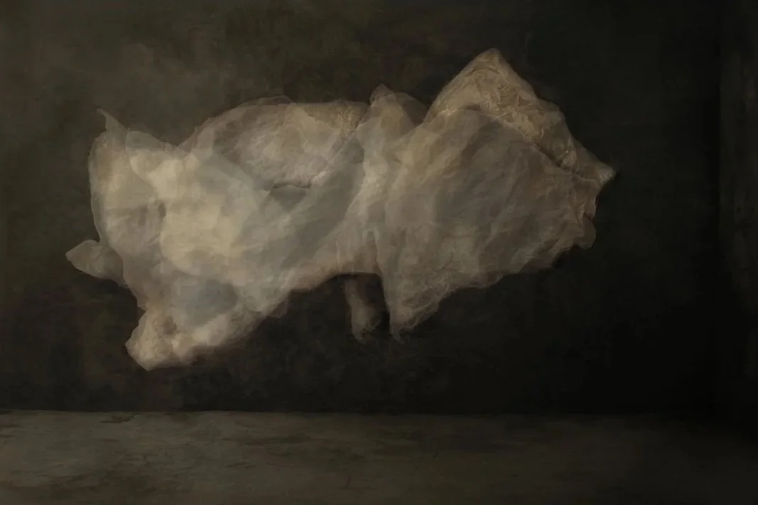 Large abstract art piece resembling a cloud or rock formation displayed on a dark wall.