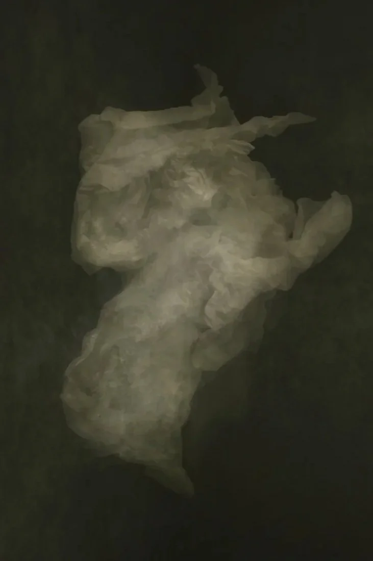 A crumpled, semi-transparent white plastic bag on a dark surface.