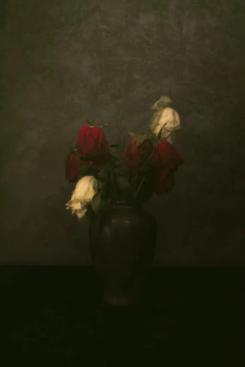 A dark black vase containing wilted red and white roses set against a dark textured background. An image from the series 'Momento Mori' by the fine art photographer Will Arden.