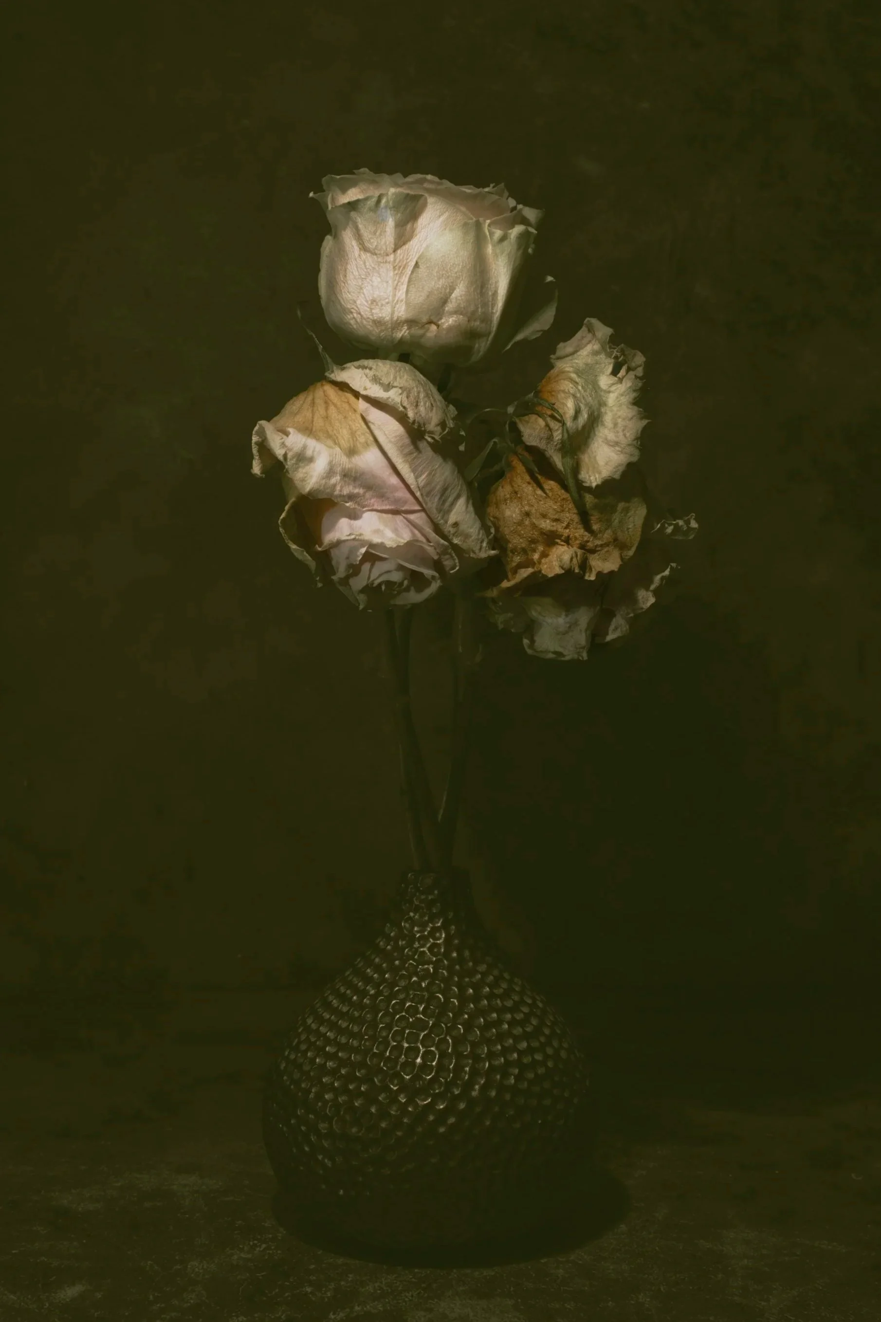 Dried white and brown roses in a black decorative vase on a dark surface.