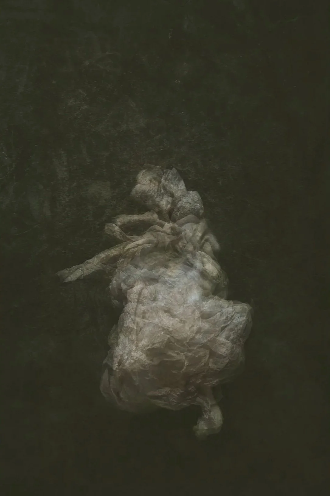 Metamorphosis