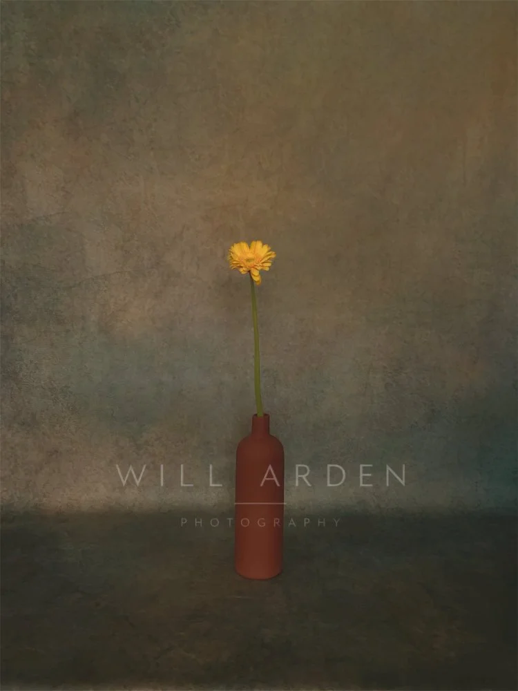 Single Flower