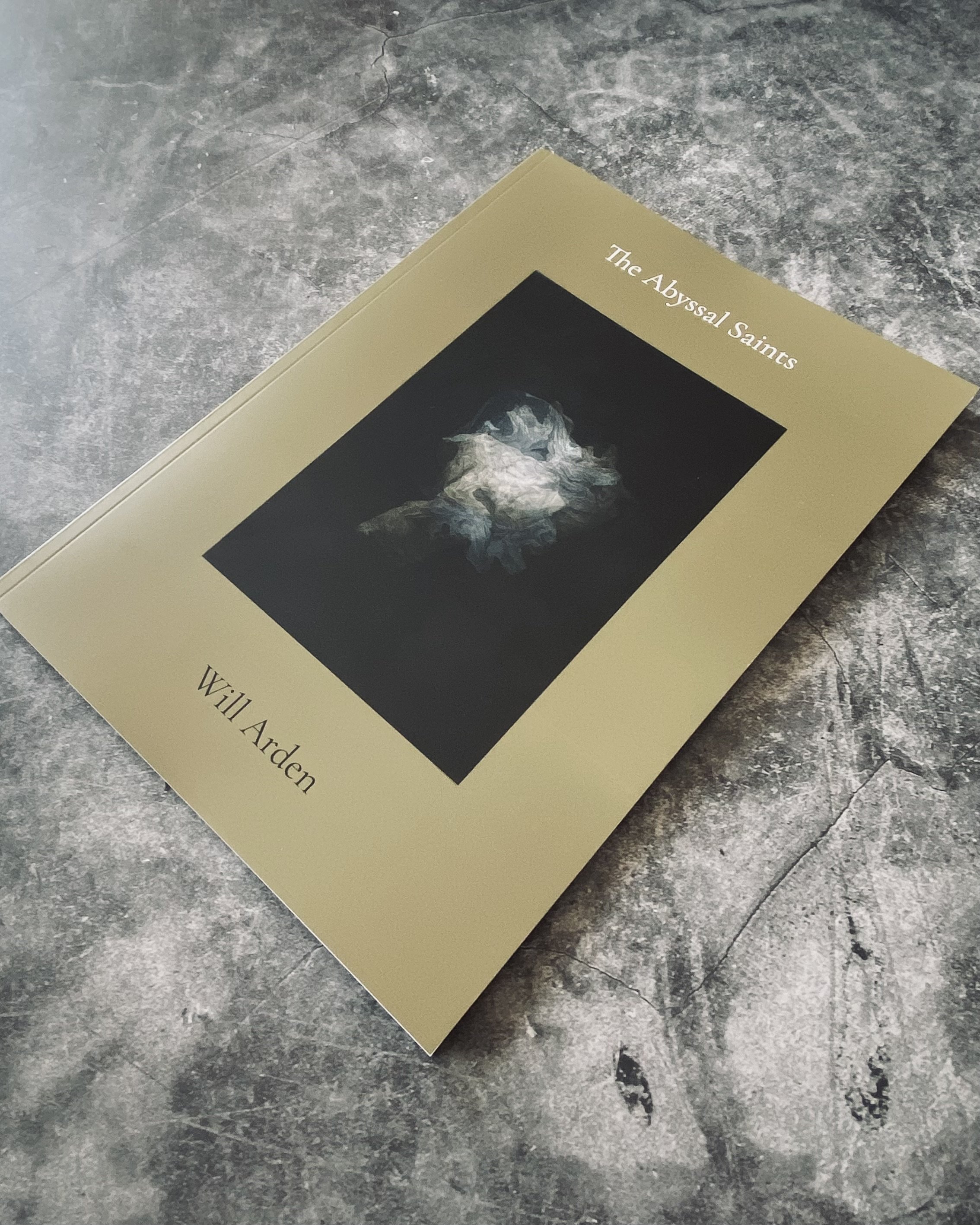 A book titled 'The Abyssal Saints' by Will Arden lies on a textured stone surface.