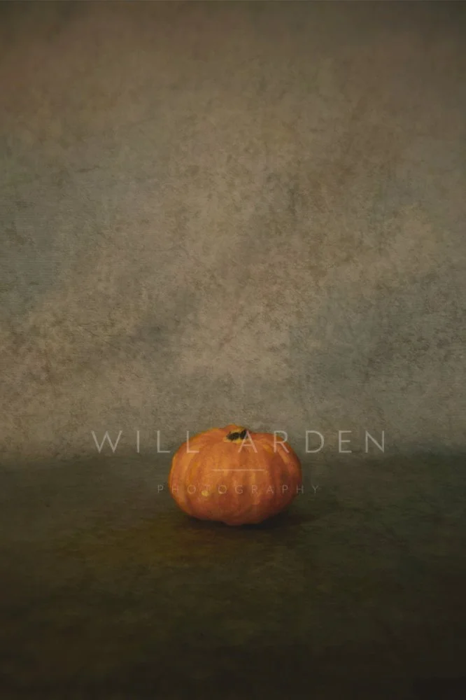 Small Pumpkin Against an atmospheric background