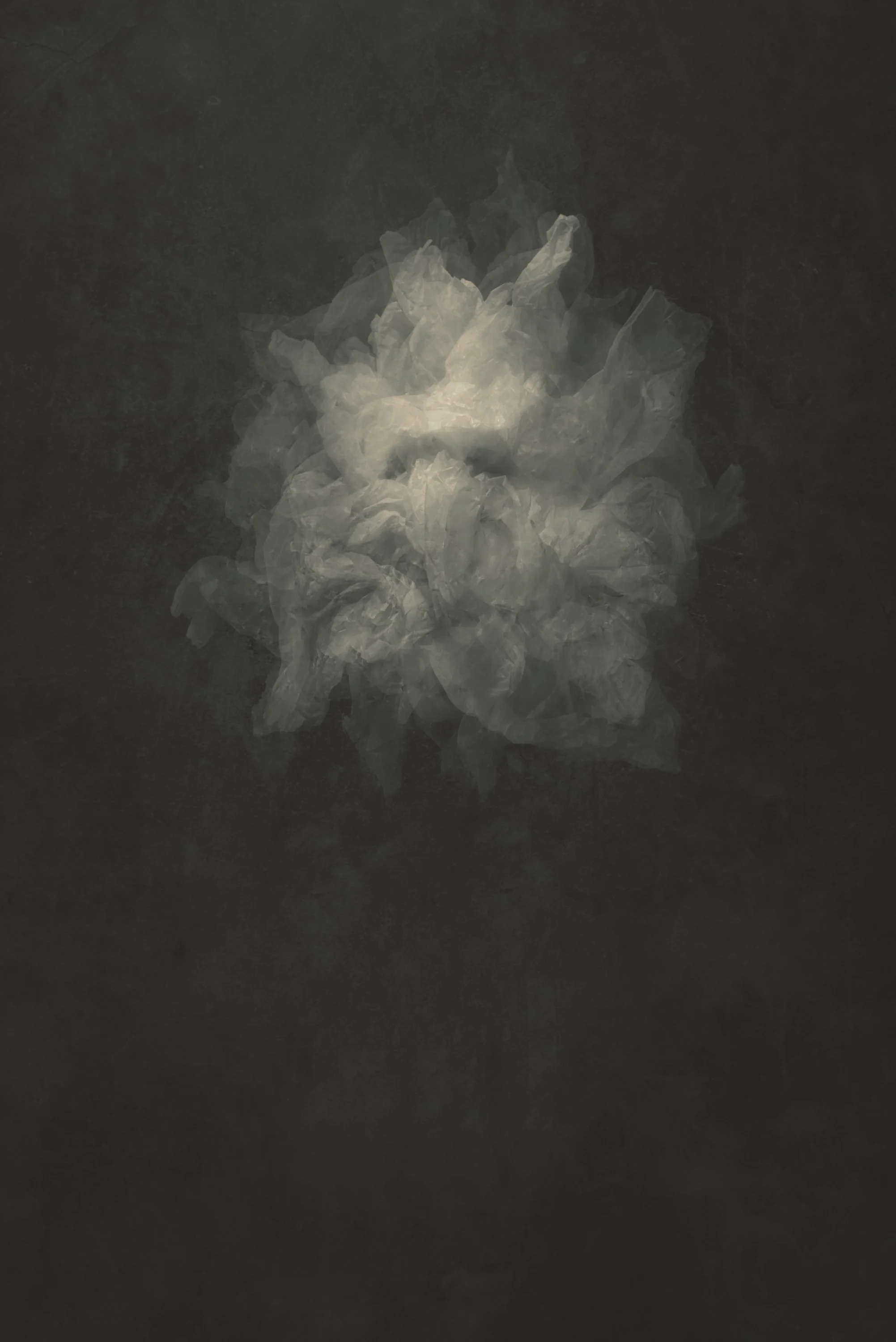 An image of the series 'Portals and gateways' an ongoing work by Will Arden