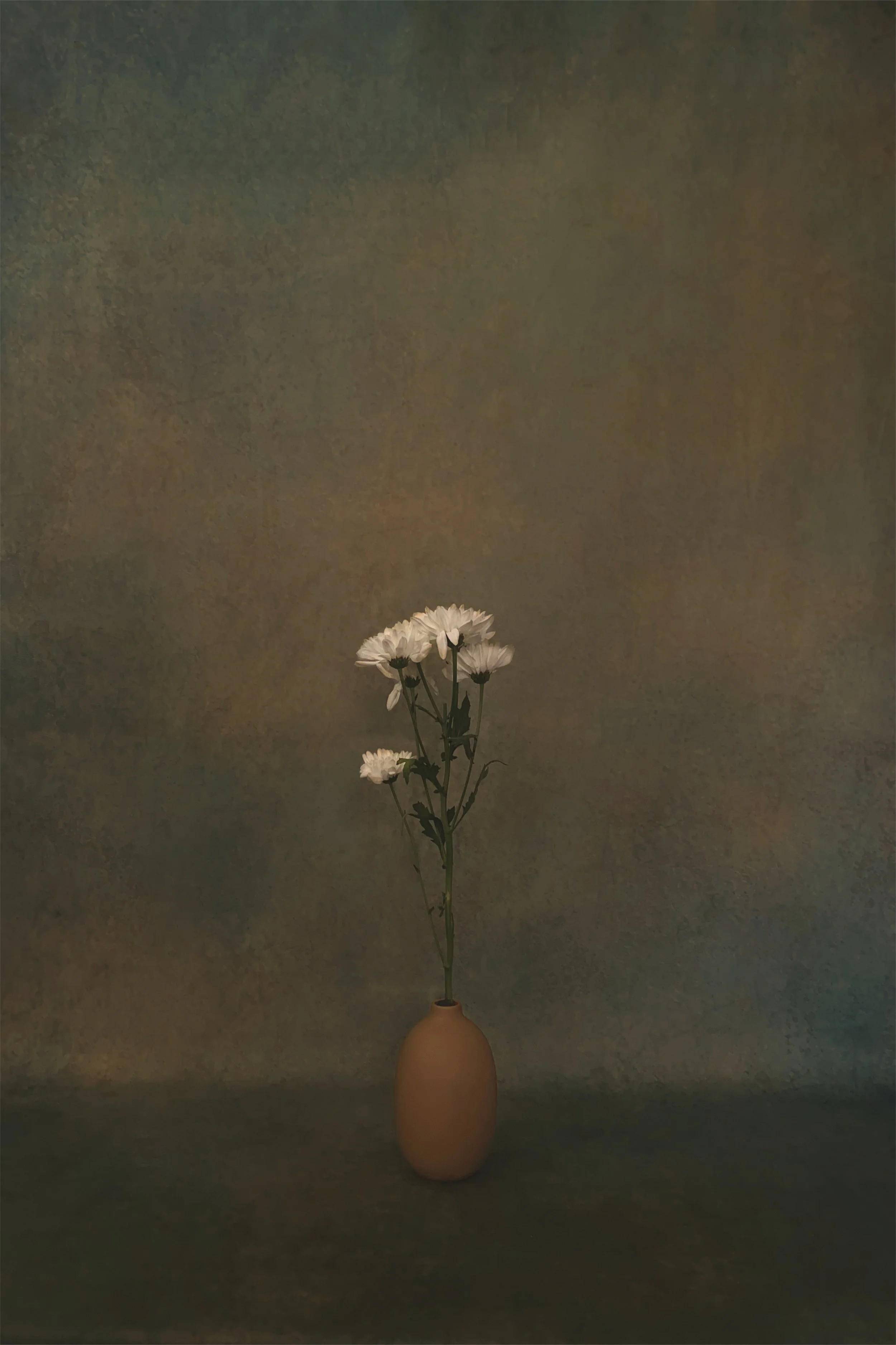 A beige vase holding a single stem of white daisies with a dark background.