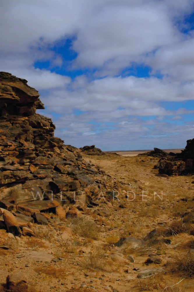 Desert #11