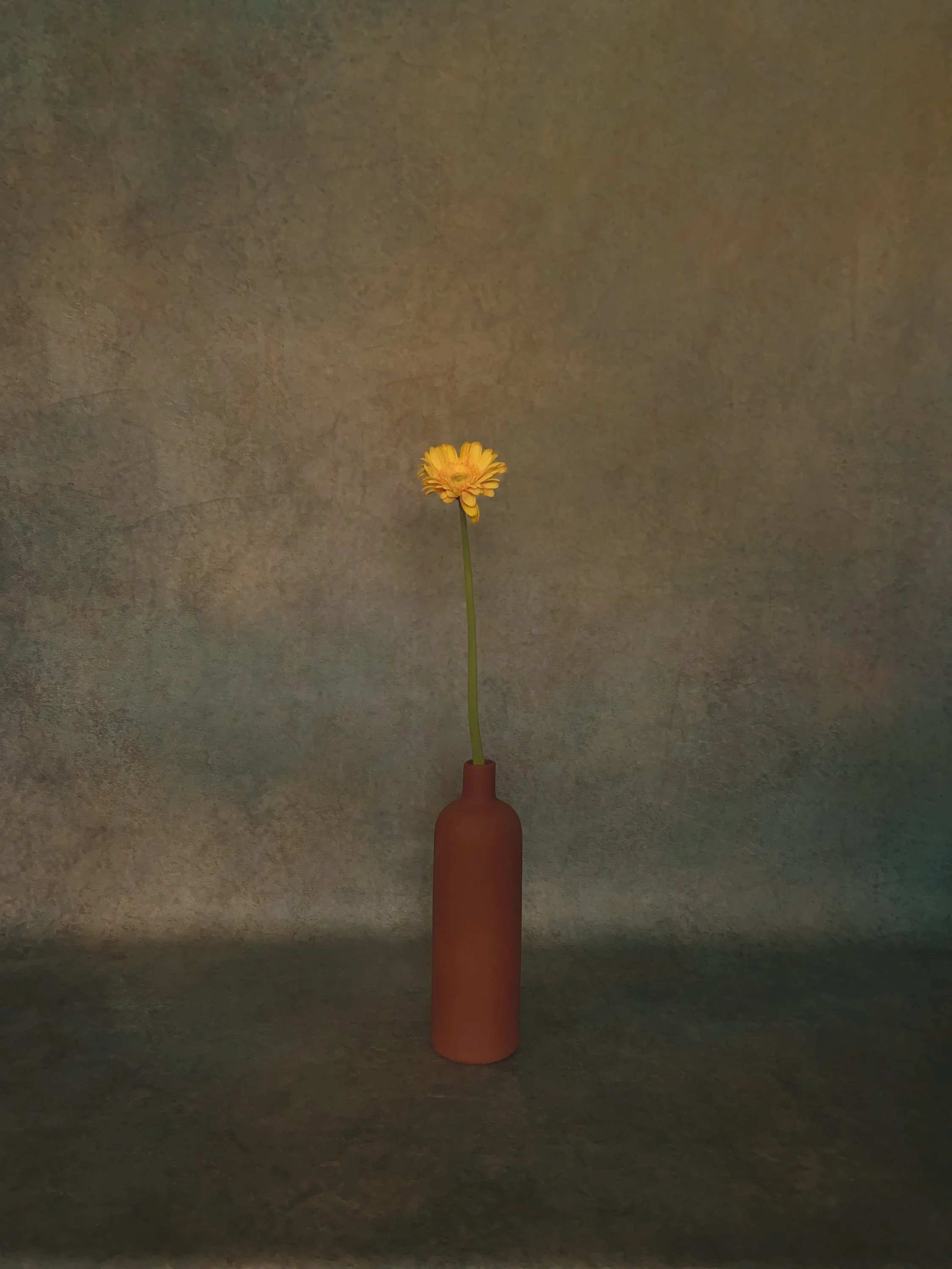 A single yellow flower in a tall, brown vase against a textured, grey background.