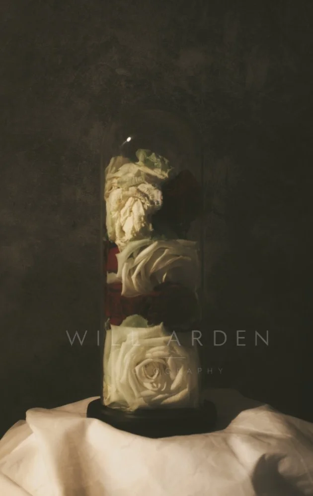 Roses Collected Within A Bell Jar
