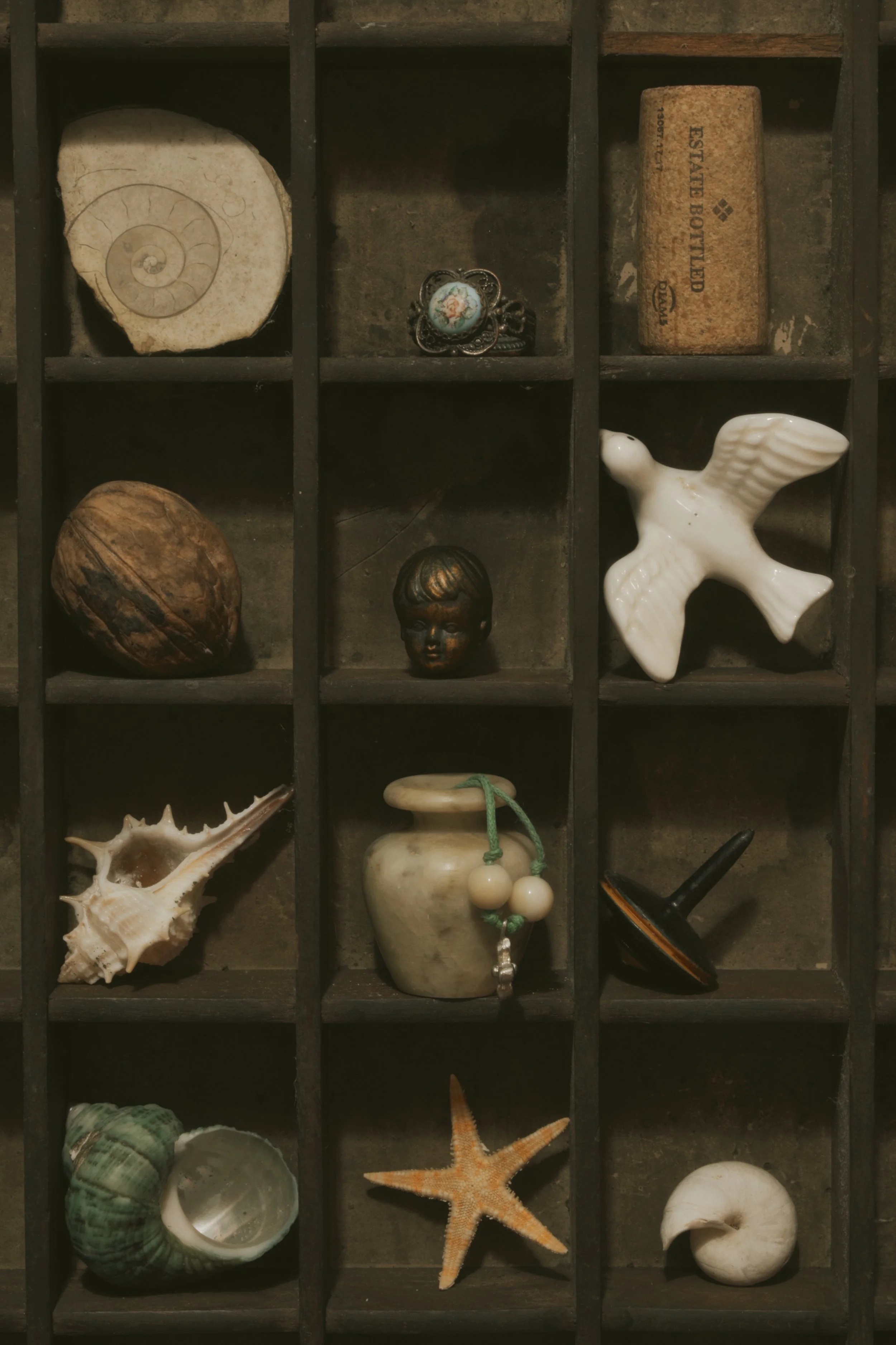 A divided display case containing various shells, a starfish, a bust of a child's head, a carved soapstone, and other decorative objects.