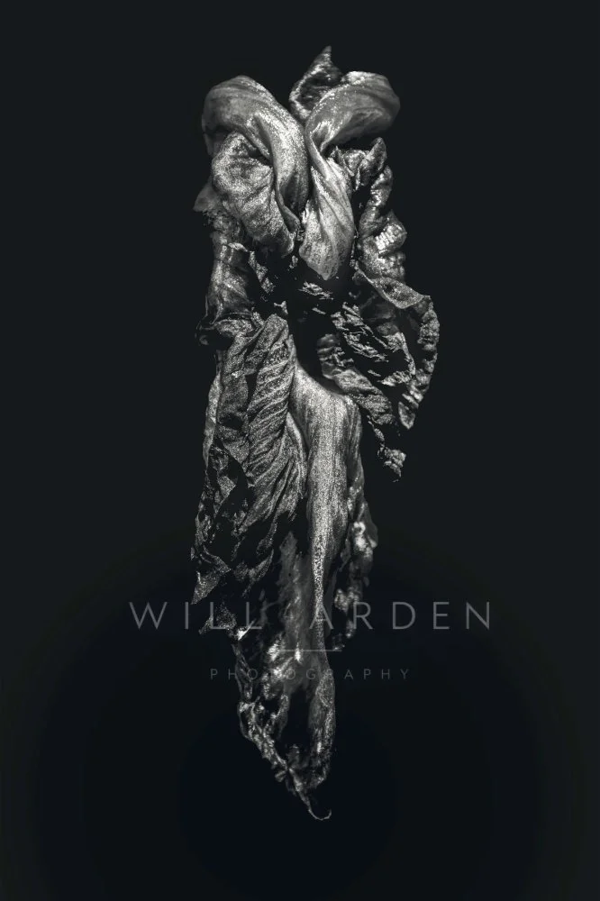 Dead Iris