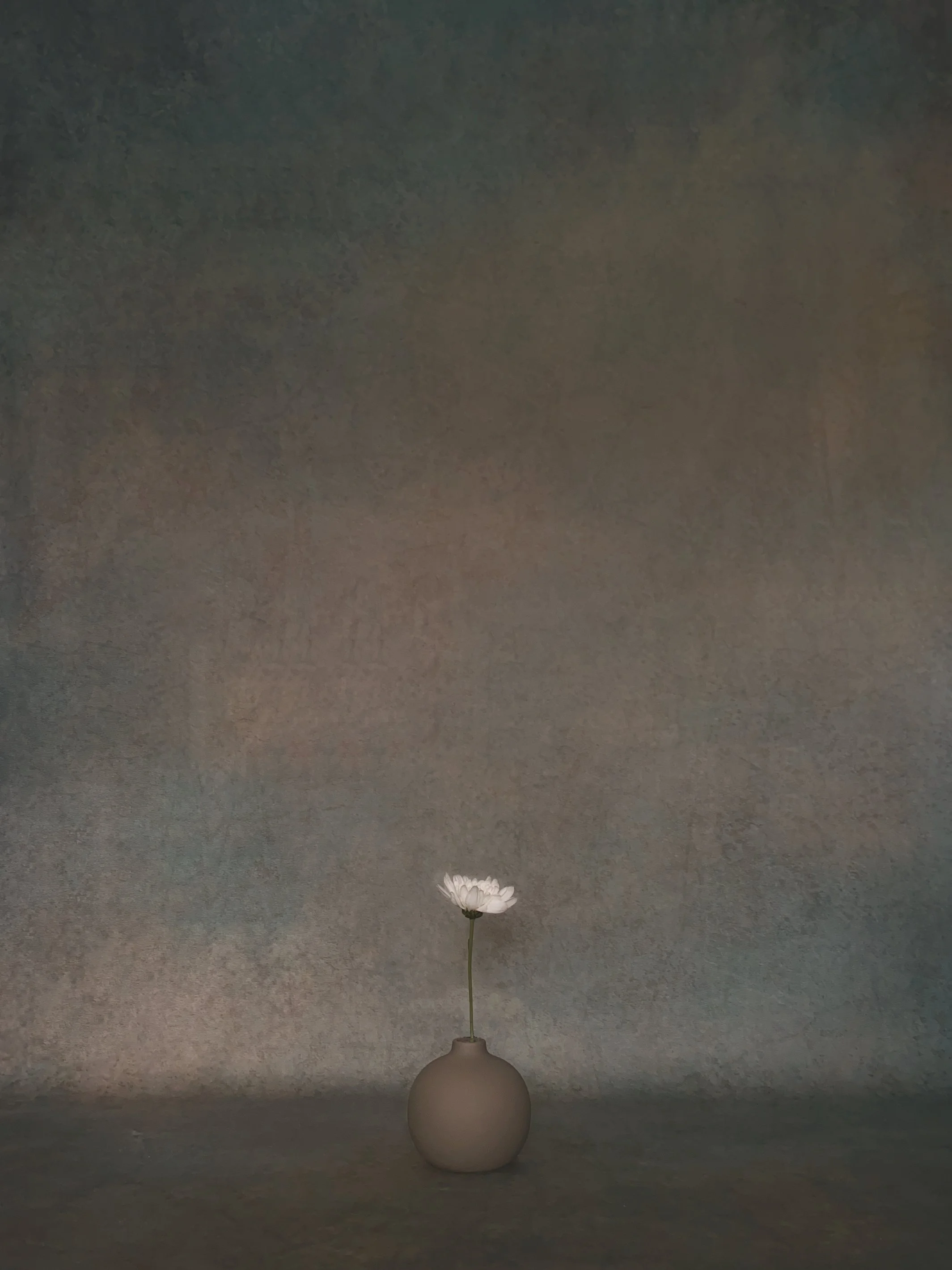 A single white flower in a round beige vase against a textured gray background.
