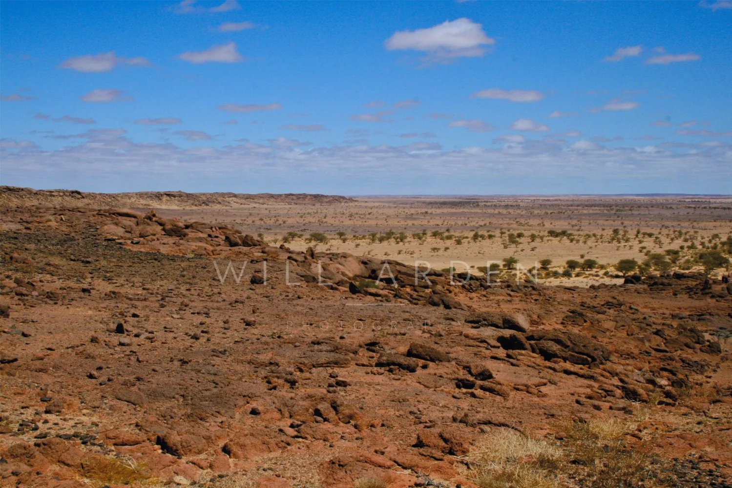 Desert #6