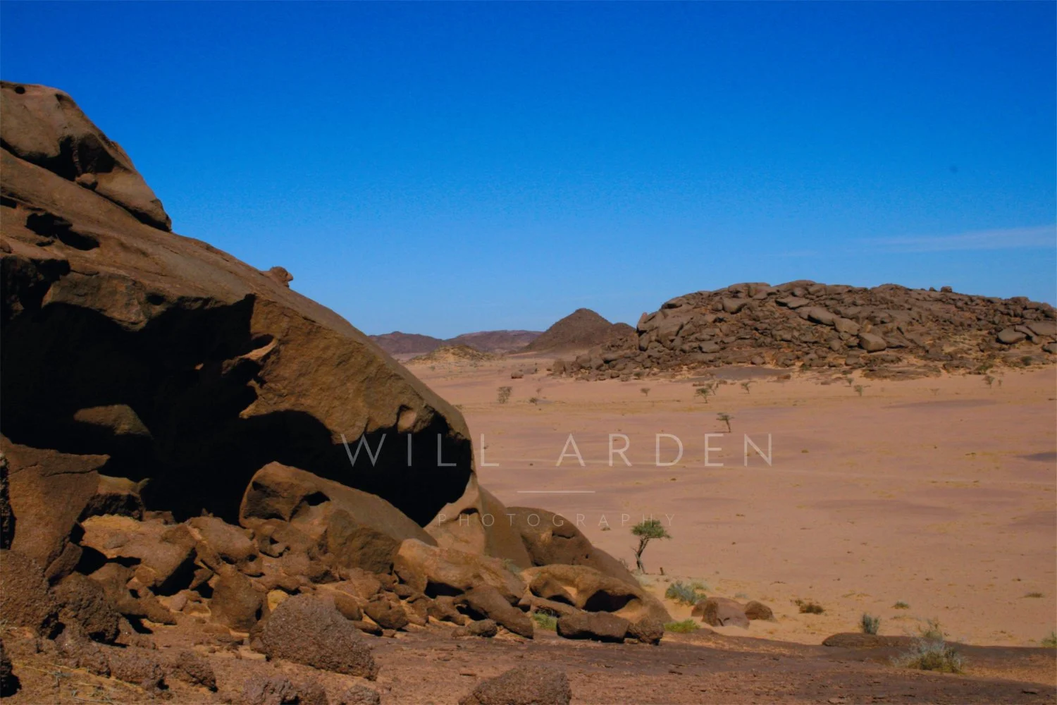 Desert #8