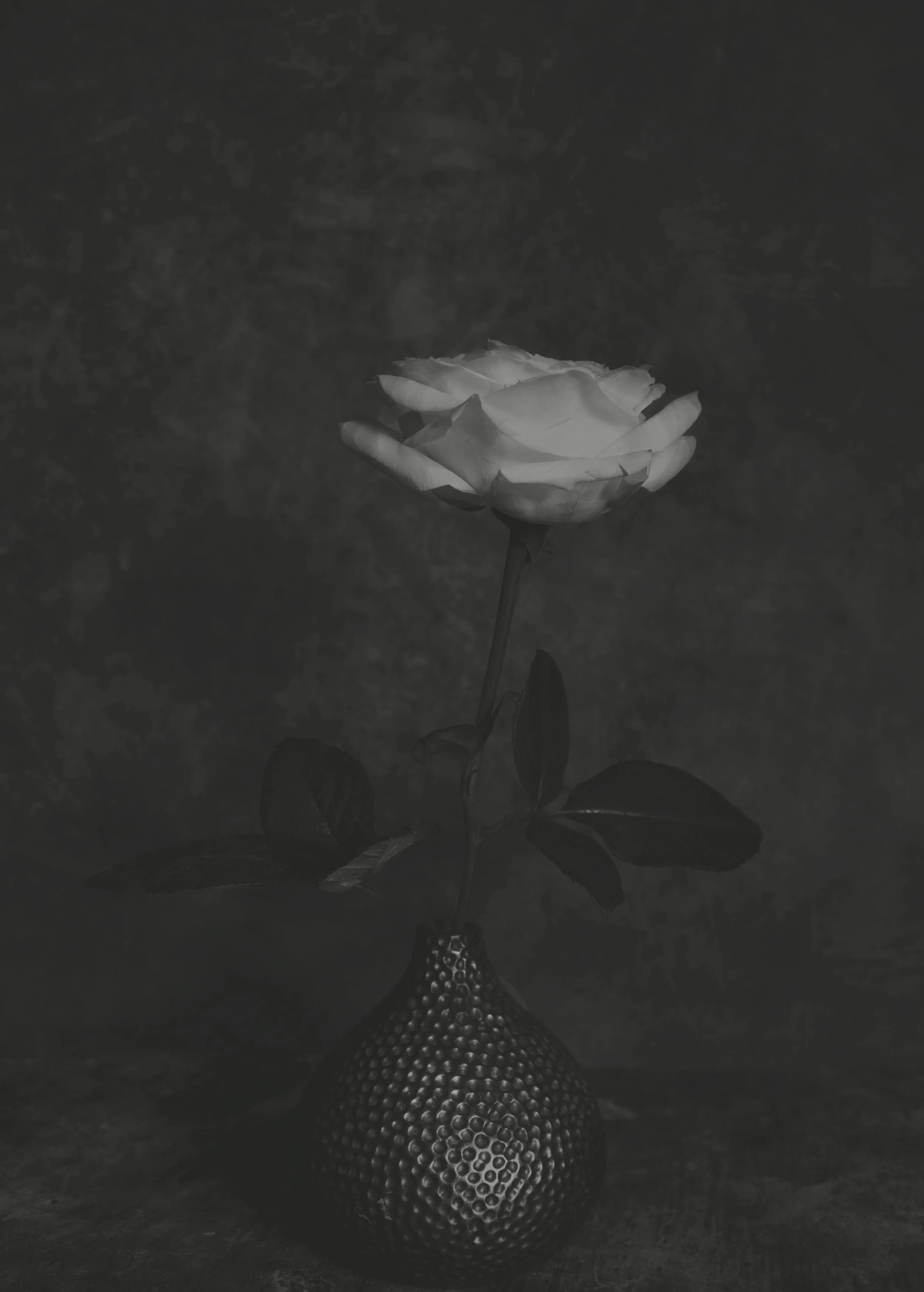 Black and white image of a single rose in a glass vase placed on a textured surface with a blurred background.