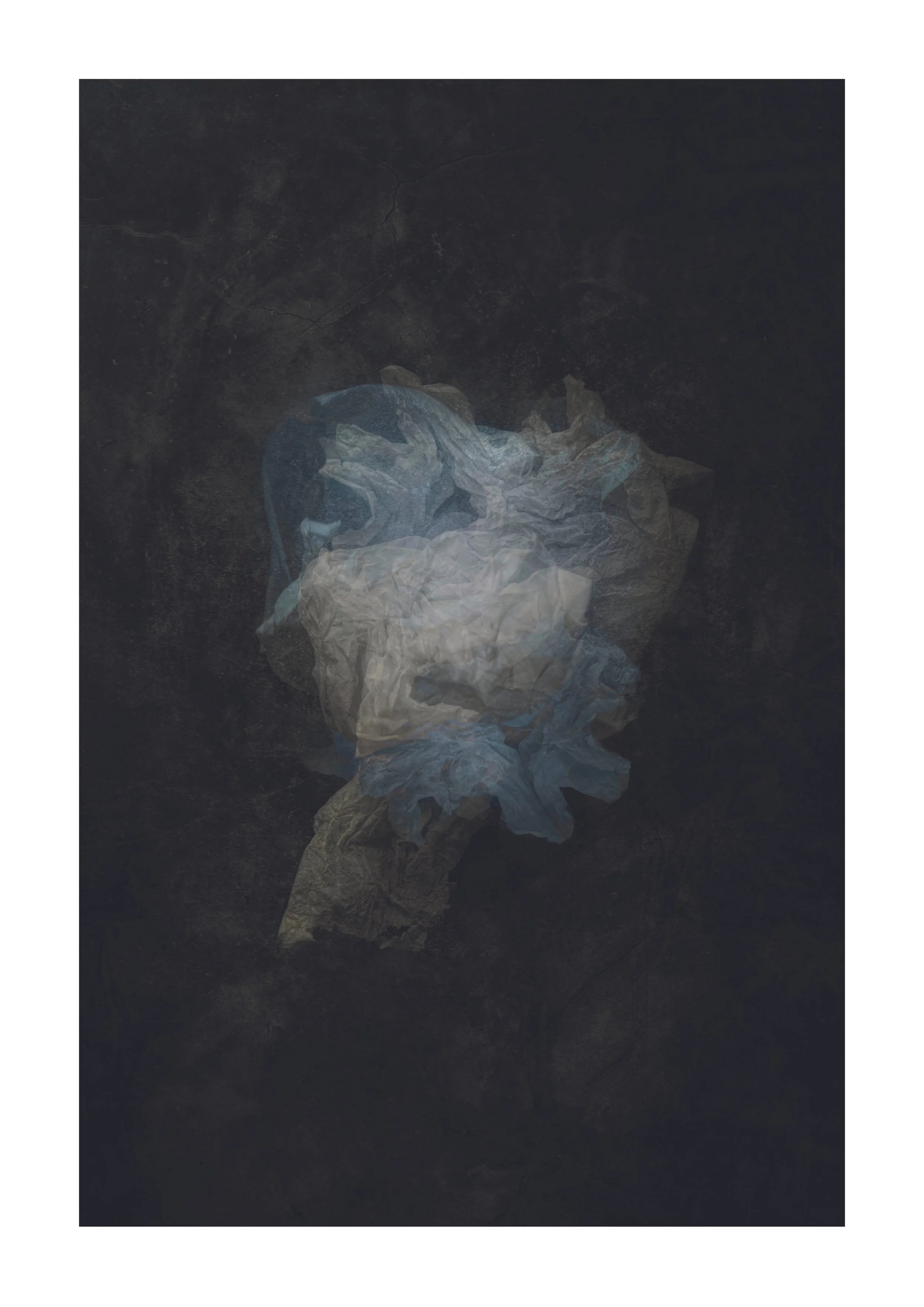 'The Herald' Limited Edition of 50