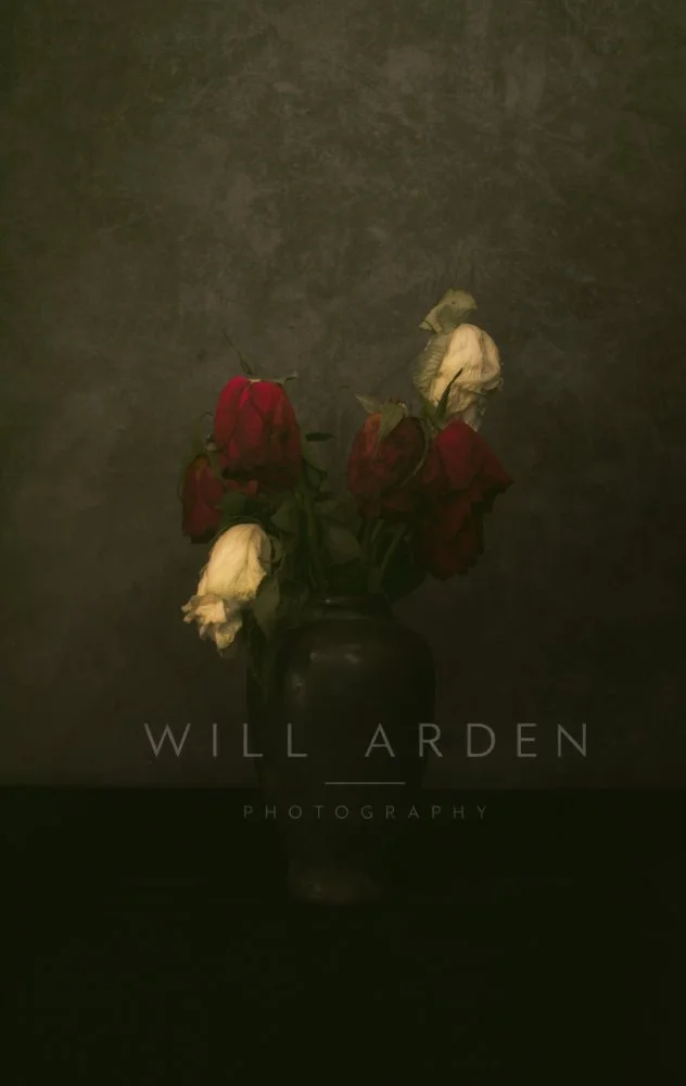 Red and White Roses in a Vase