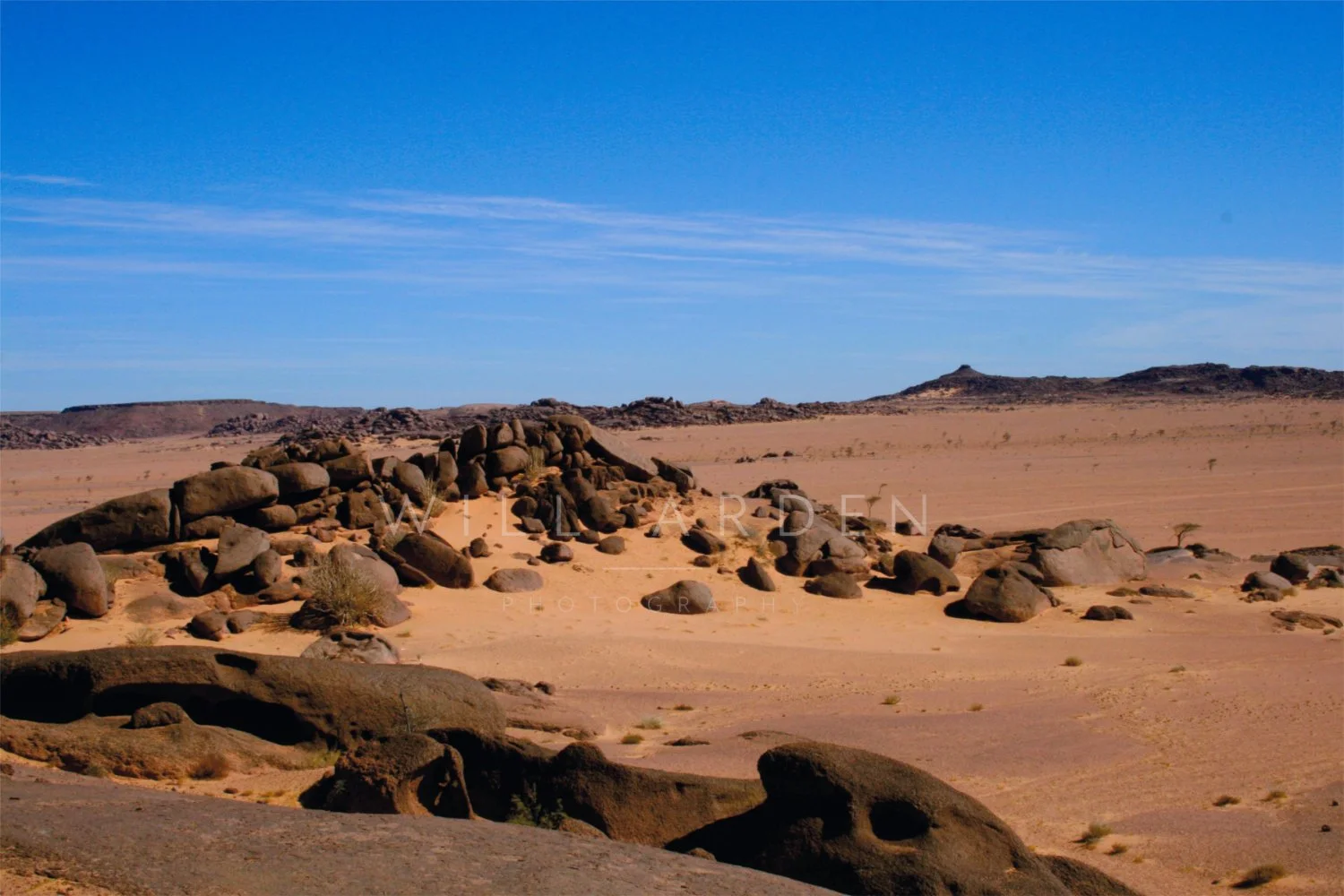 Desert #10
