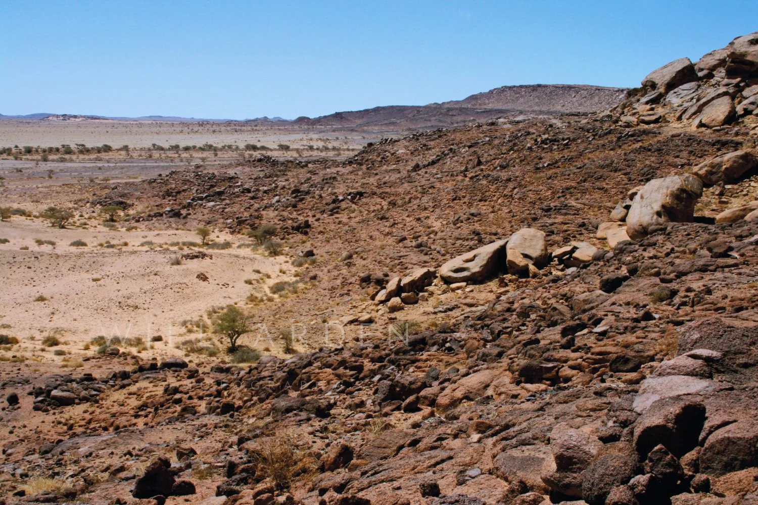 Desert #9