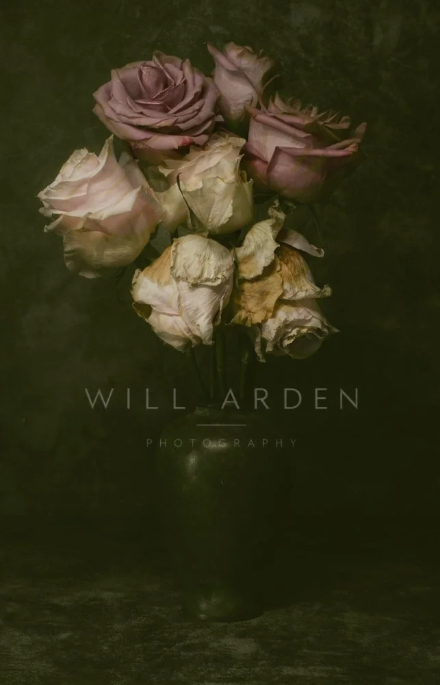 A Bouquet of Decaying Pink and White Roses