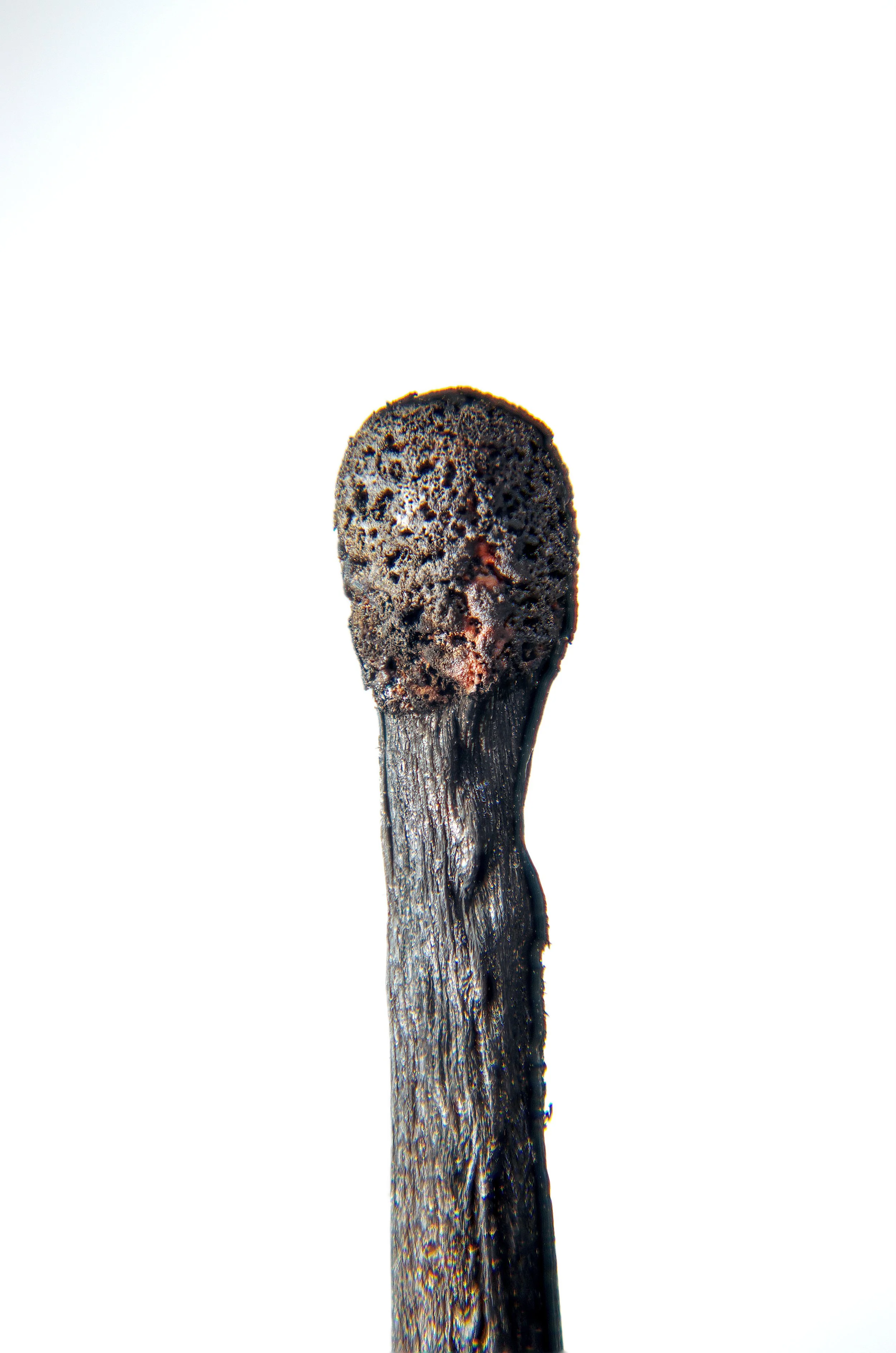 Close-up of a burnt matchstick head against a white background.