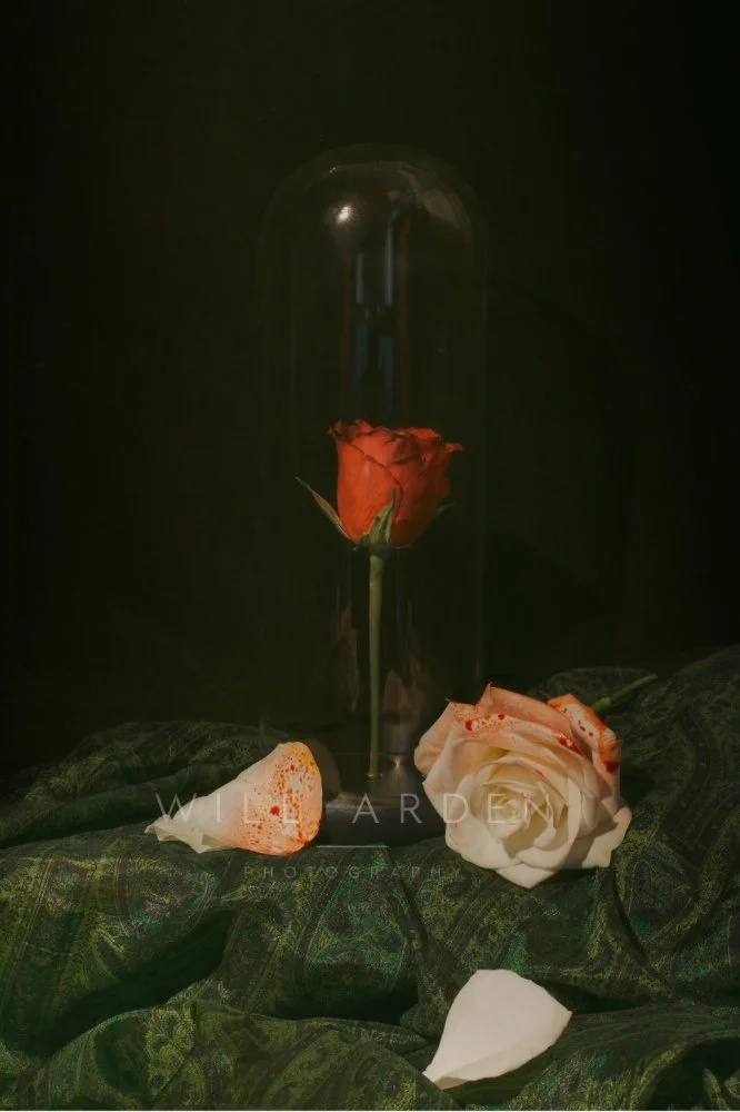Bell Jar Red Rose
