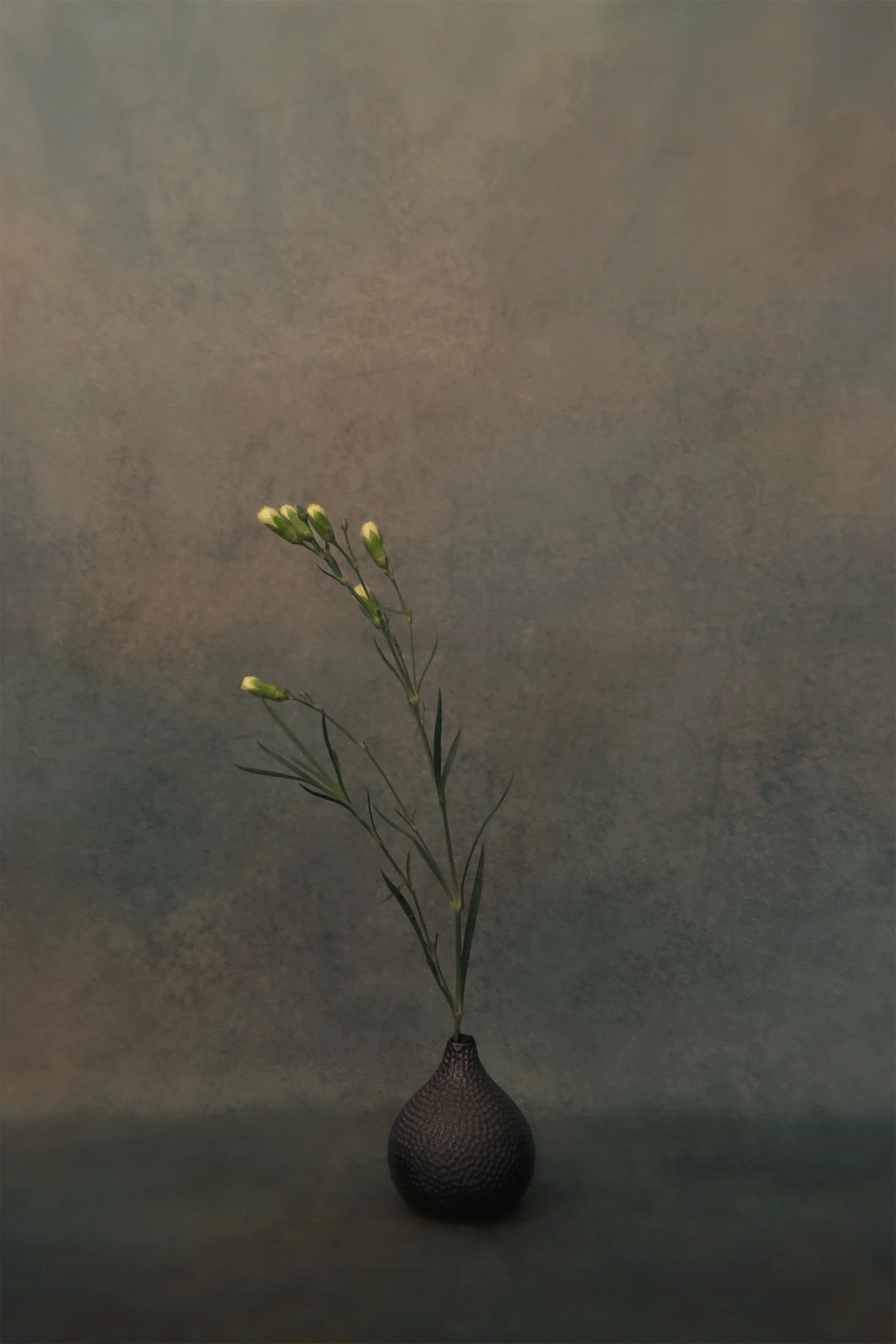 A single flower with light yellow buds on slender green stems in a textured dark vase against a grayish background.