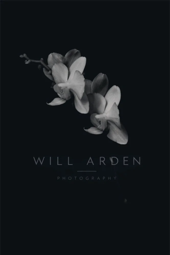 Orchid #1