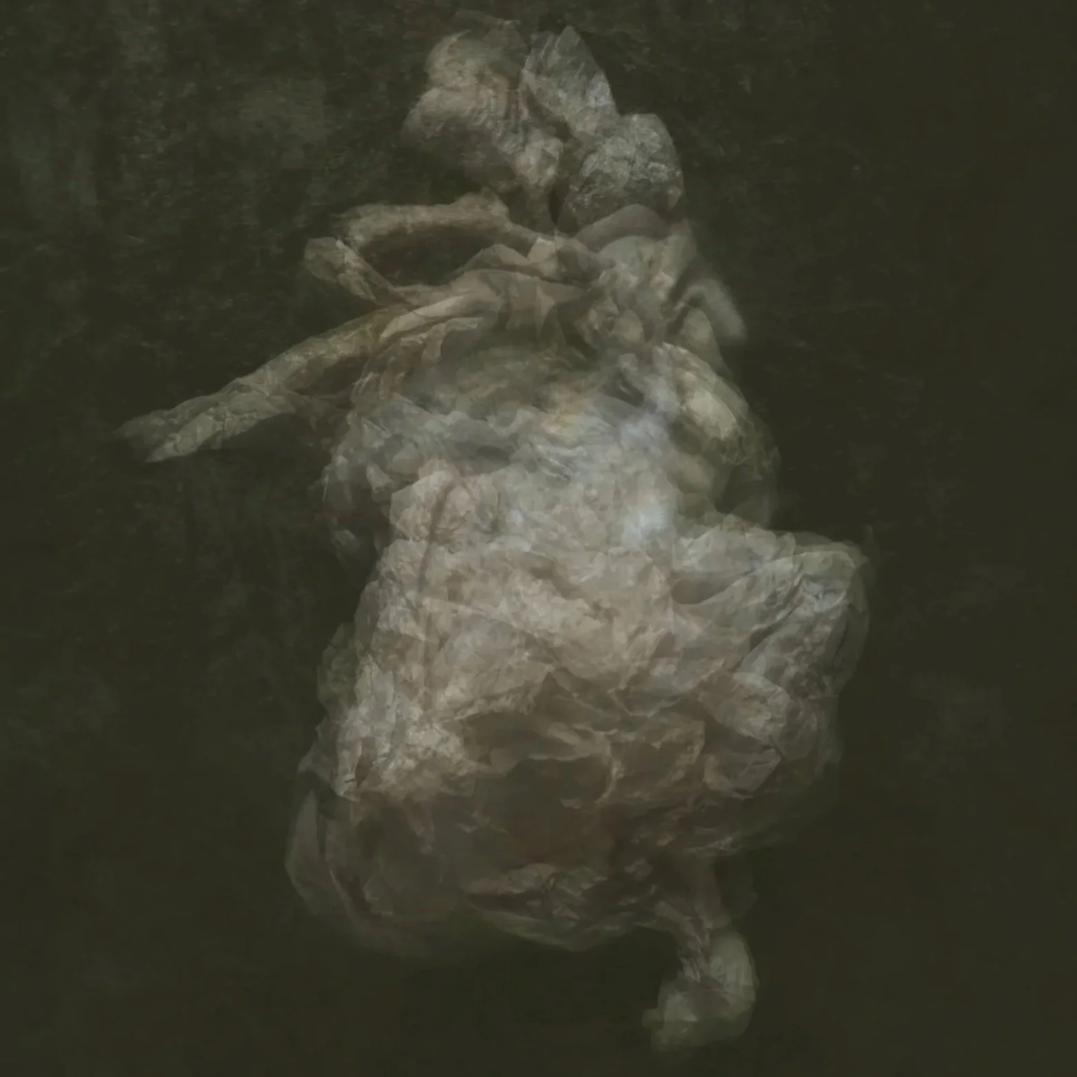 An Image from the series 'The Abyssal Saints' by fine art photographic artist Will Arden