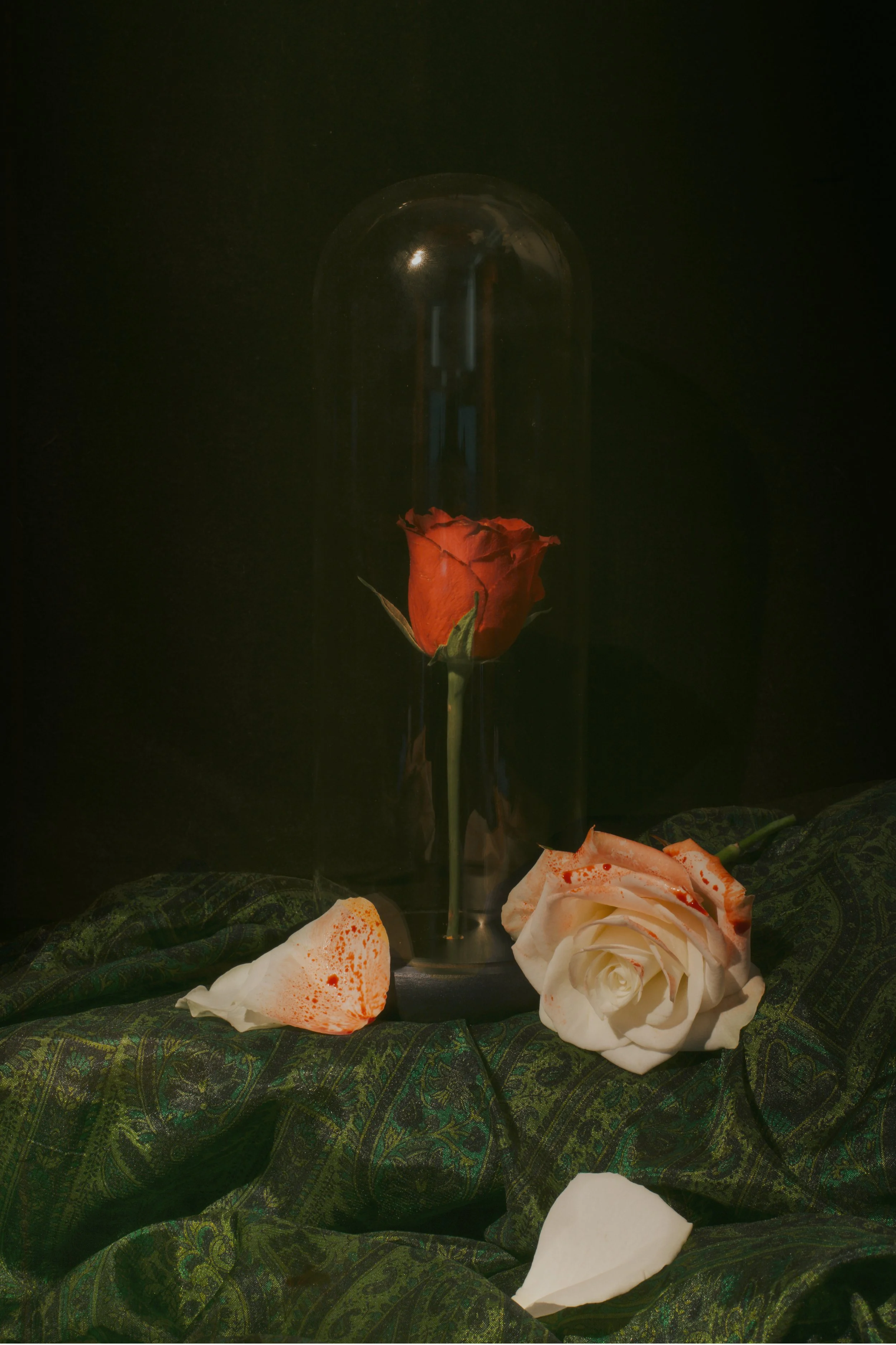 A red rose inside a glass dome with white and orange petals at the base, resting on dark green patterned fabric.