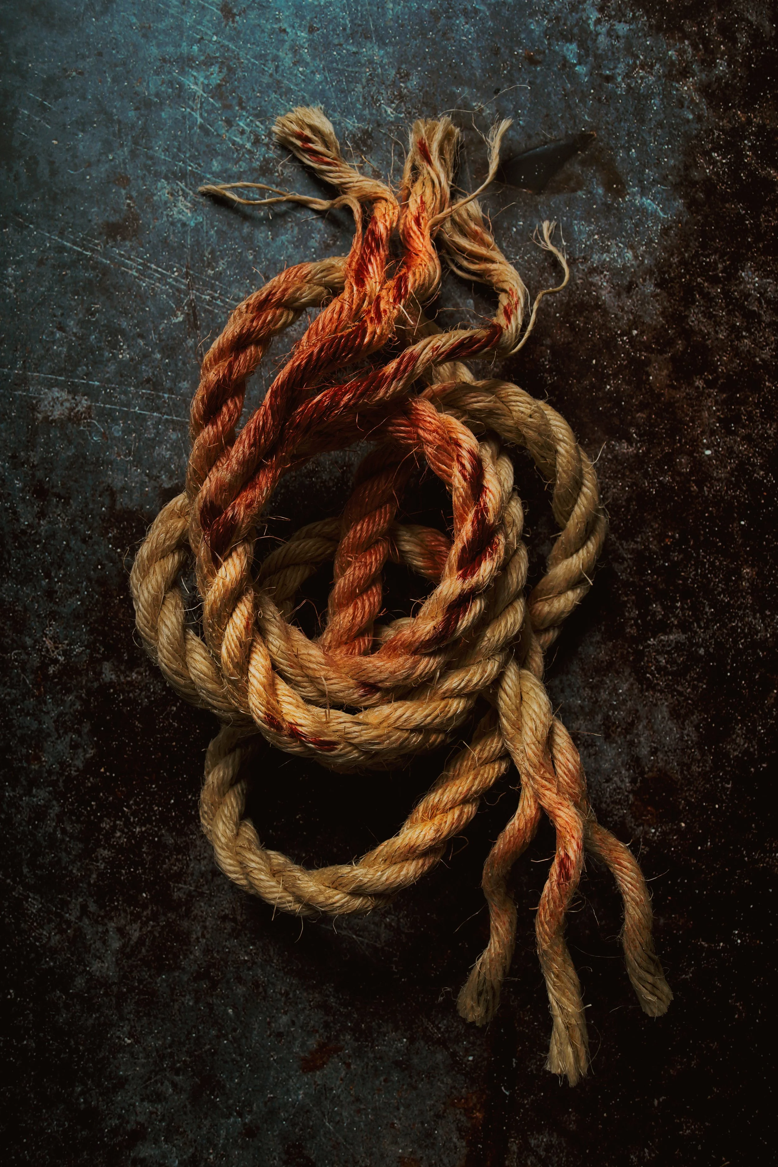 A tangled, blood-stained rope on a dark, speckled surface.