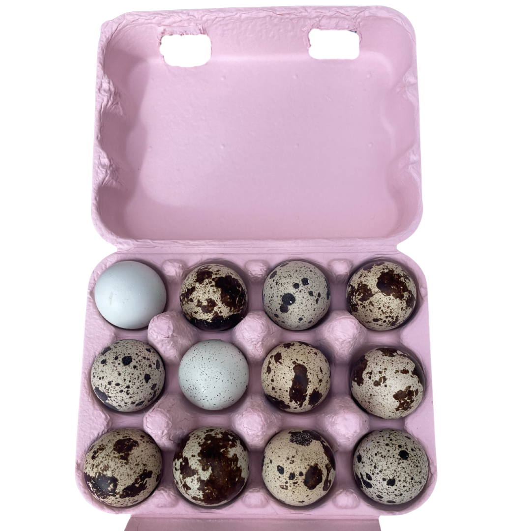 Quail Eggs - One Dozen
