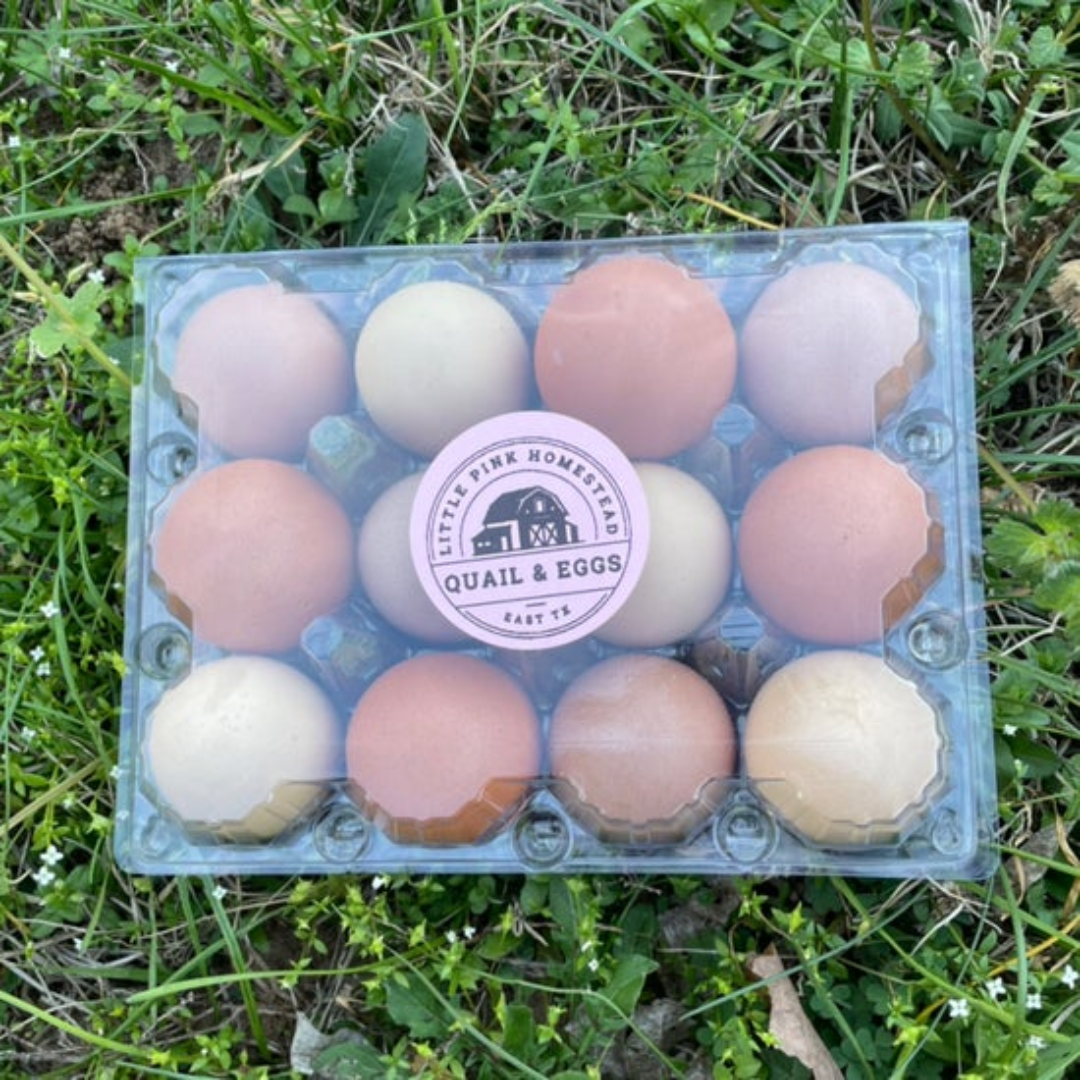 Chicken Eggs - One Dozen