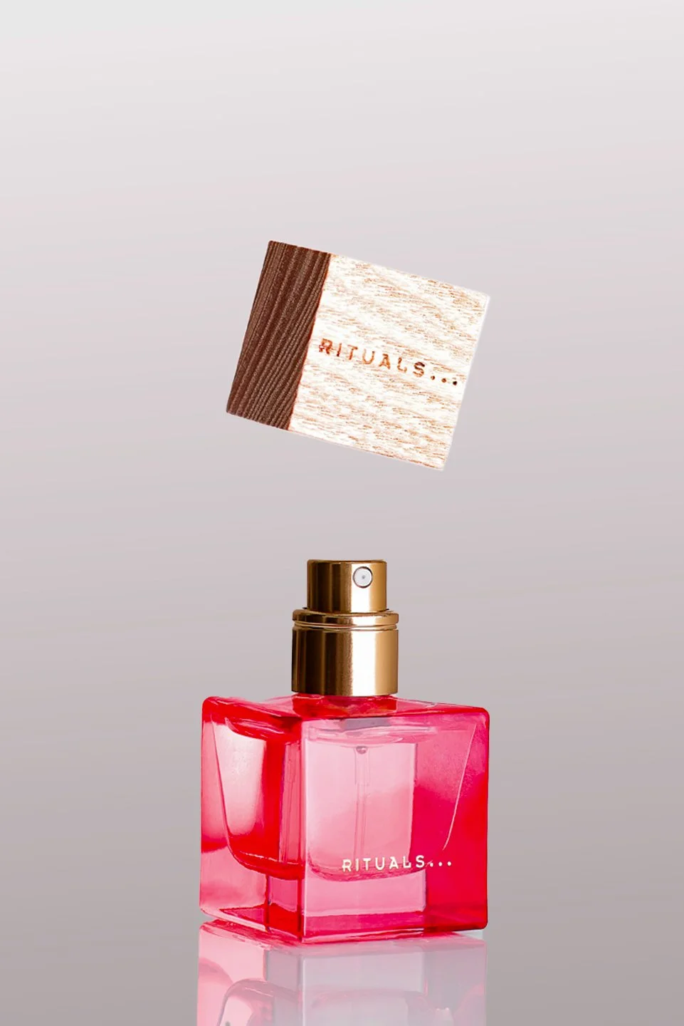 Img0379_01 Kopie.jpg