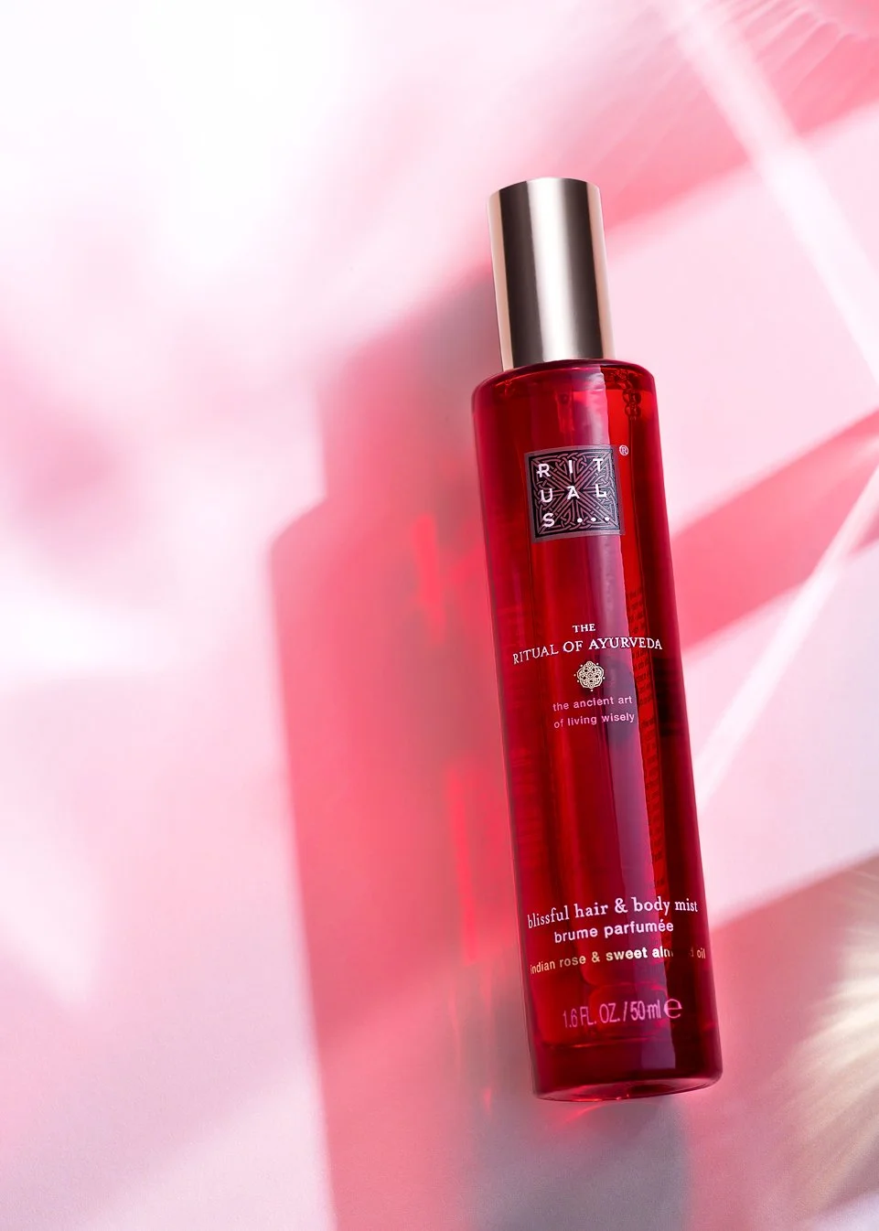 Img0412_01 Kopie.jpg